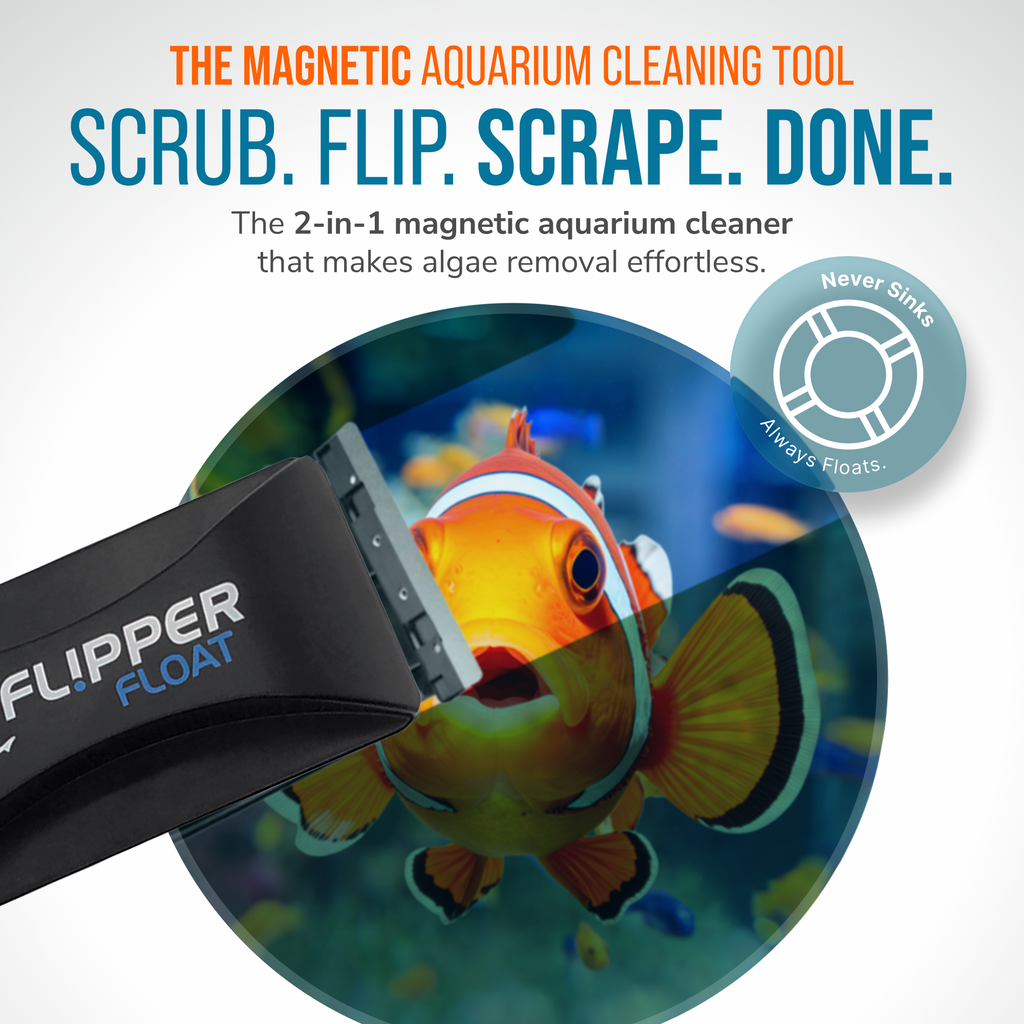 Flipper FLOAT 2 in 1 Magnetic Aquarium Algae Cleaner (Standard) - Priscilla's Pet Paradise