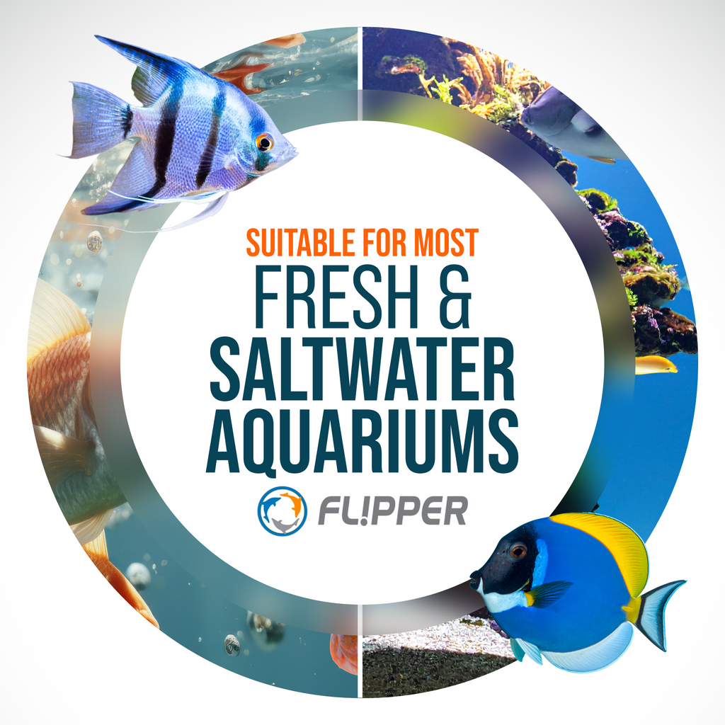 Flipper FLOAT 2 in 1 Magnetic Aquarium Algae Cleaner (Standard) - Priscilla's Pet Paradise