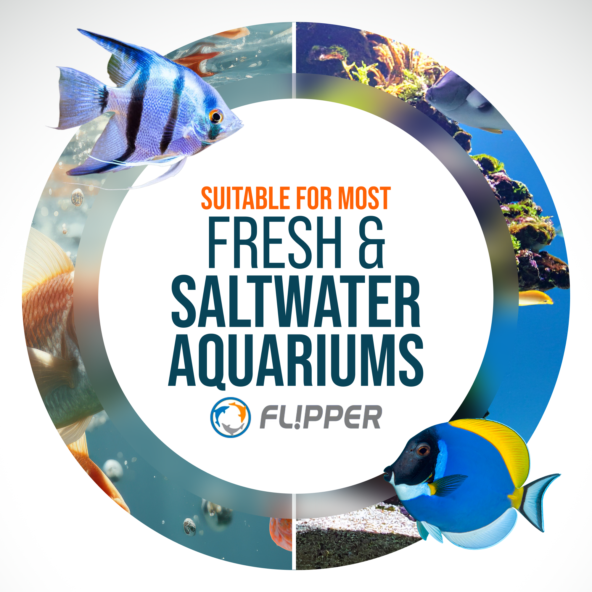 Flipper FLOAT 2 in 1 Magnetic Aquarium Algae Cleaner (Standard) - Priscilla's Pet Paradise