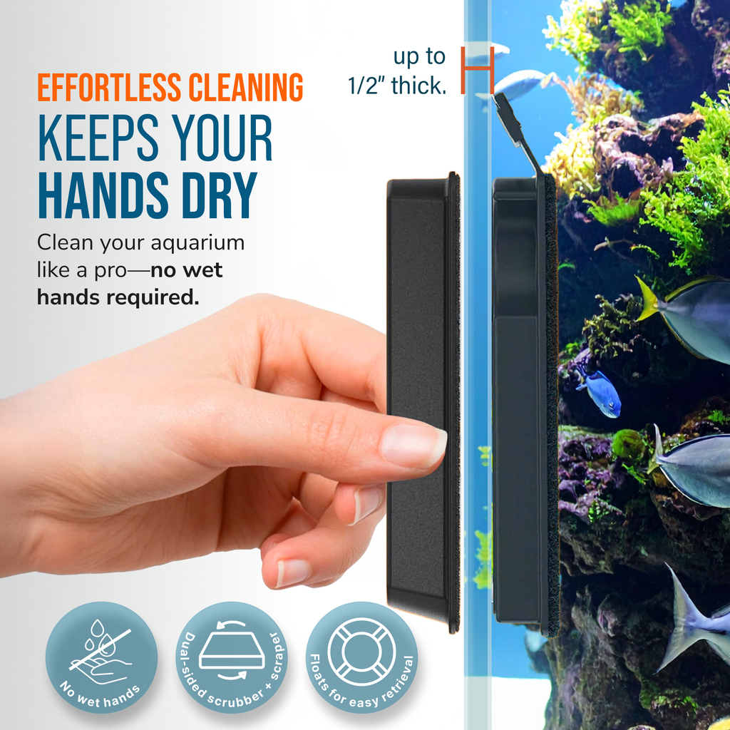 Flipper FLOAT 2 in 1 Magnetic Aquarium Algae Cleaner (Standard) - Priscilla's Pet Paradise