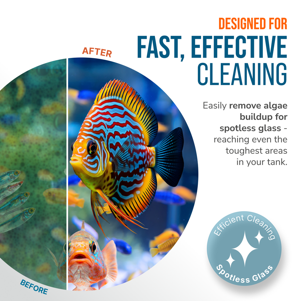 Flipper FLOAT 2 in 1 Magnetic Aquarium Algae Cleaner (Standard) - Priscilla's Pet Paradise