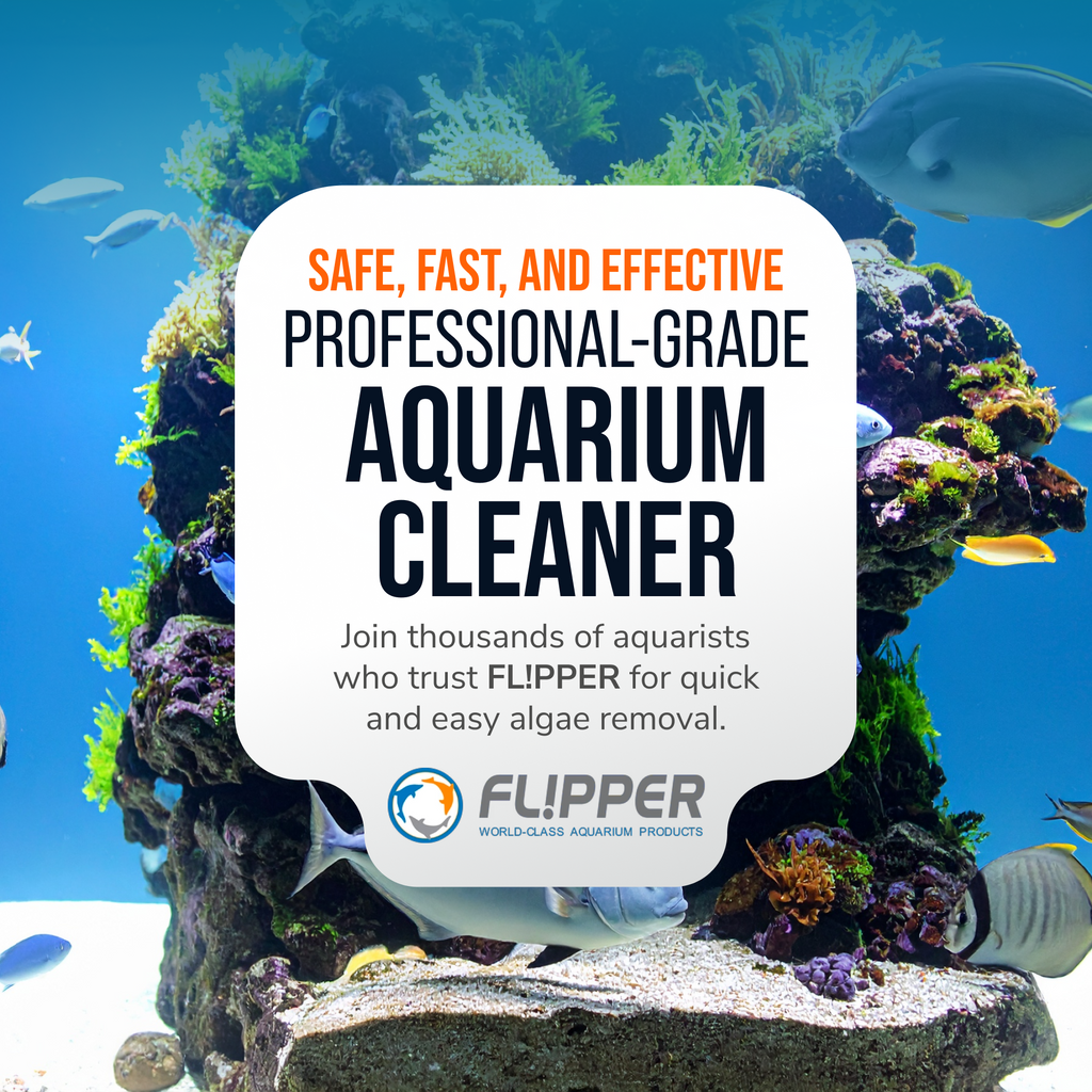 Flipper FLOAT 2 in 1 Magnetic Aquarium Algae Cleaner (Standard) - Priscilla's Pet Paradise