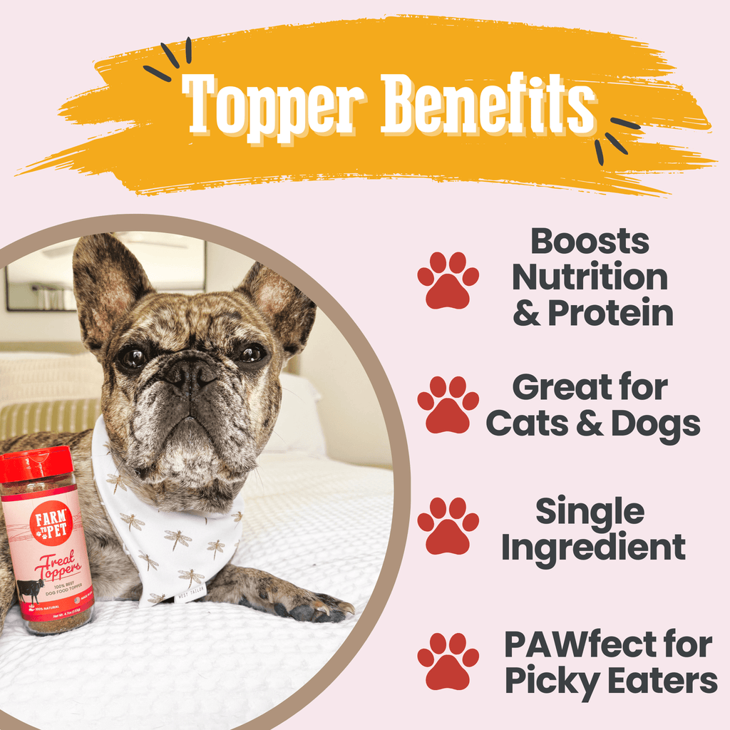 Treat Topper Beef Dog Food Topper | Powdered Meal Topper for Pets - Priscilla's Pet Paradise