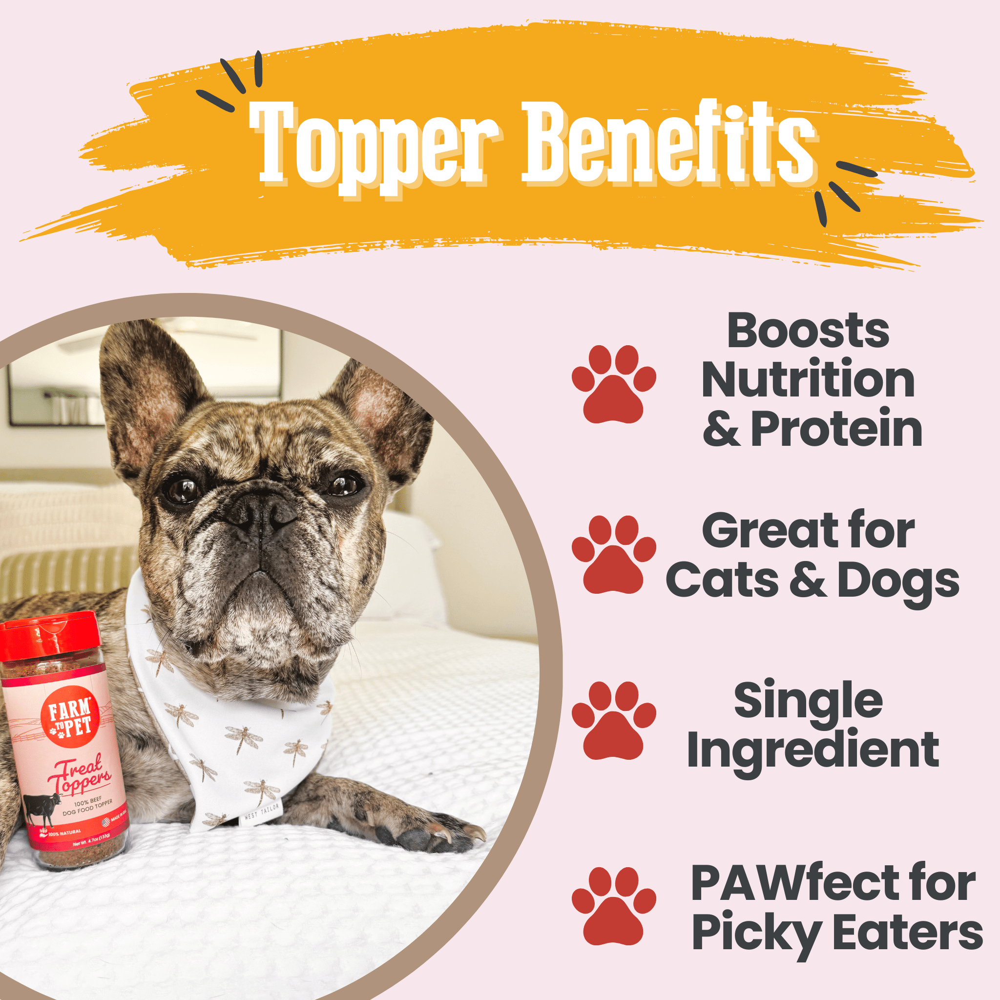 Treat Topper Beef Dog Food Topper | Powdered Meal Topper for Pets - Priscilla's Pet Paradise