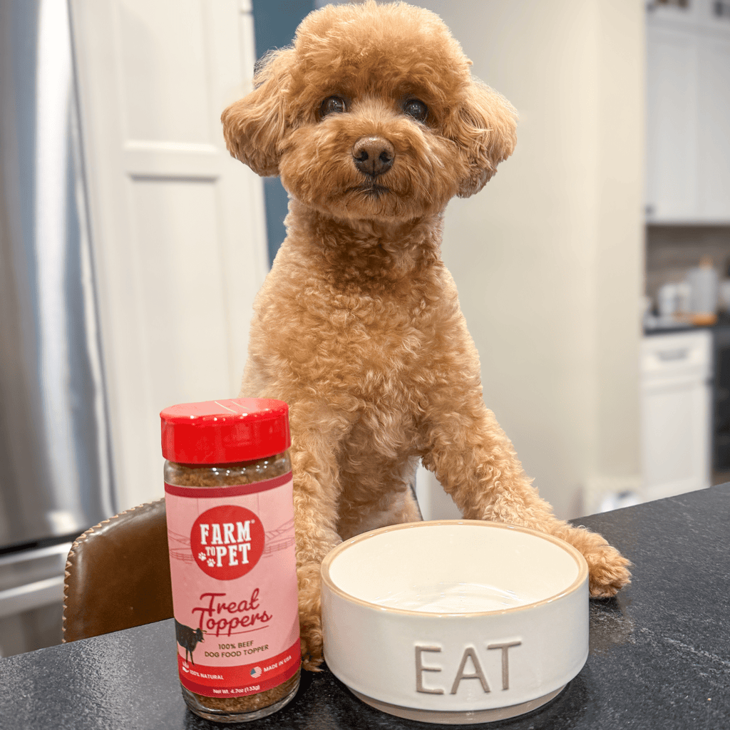 Treat Topper Beef Dog Food Topper | Powdered Meal Topper for Pets - Priscilla's Pet Paradise