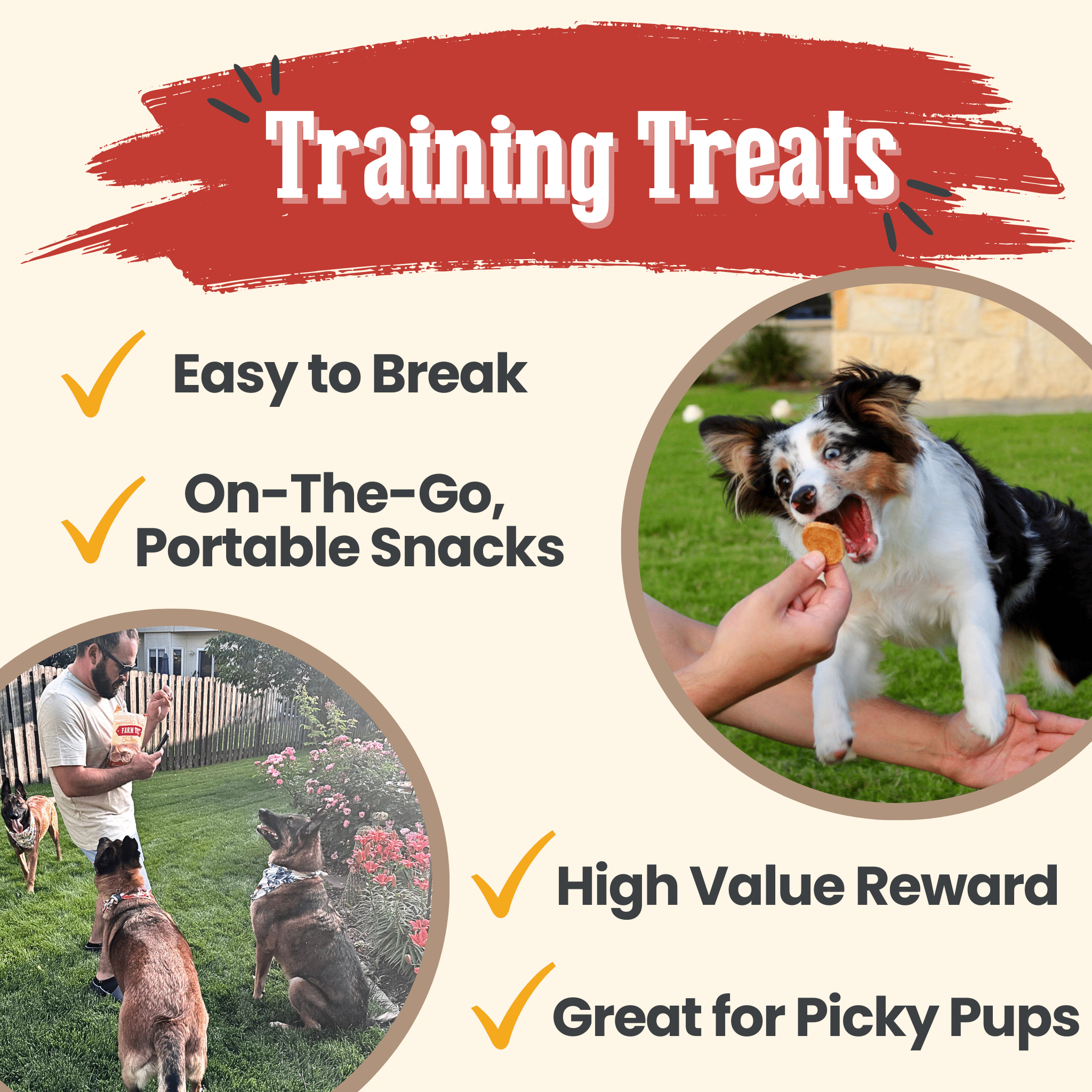 Chicken Chips for Dogs | All-Natural Single-Ingredient Dog Treats - Priscilla's Pet Paradise