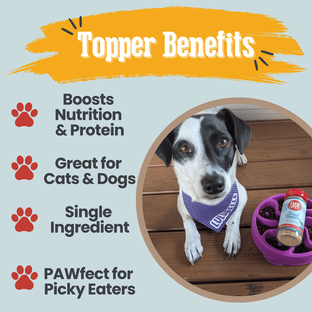 Treat Topper Fish Dog Food Topper | Low-Fat Meal Topper for Pets - Priscilla's Pet Paradise