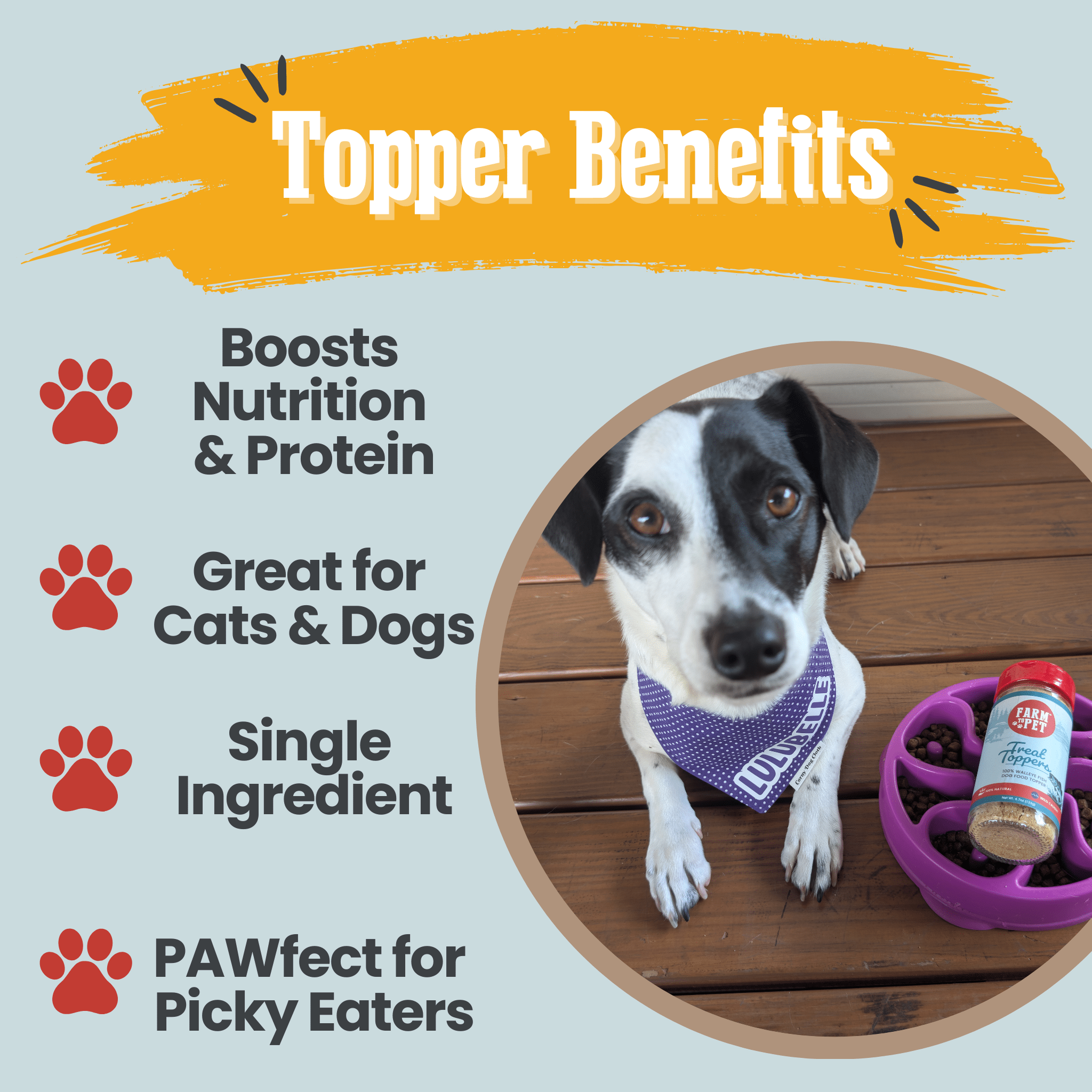 Treat Topper Fish Dog Food Topper | Low-Fat Meal Topper for Pets - Priscilla's Pet Paradise