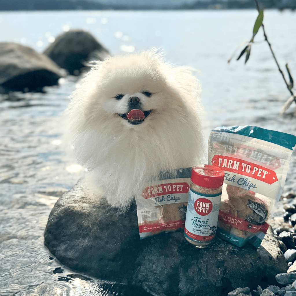 Treat Topper Fish Dog Food Topper | Low-Fat Meal Topper for Pets - Priscilla's Pet Paradise