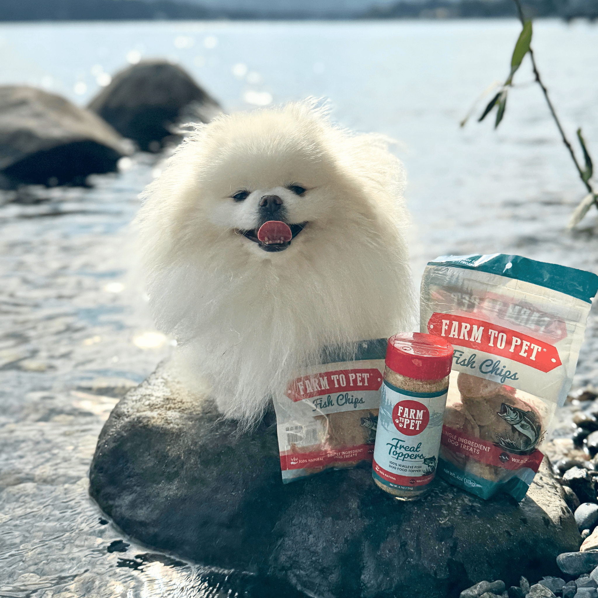 Treat Topper Fish Dog Food Topper | Low-Fat Meal Topper for Pets - Priscilla's Pet Paradise