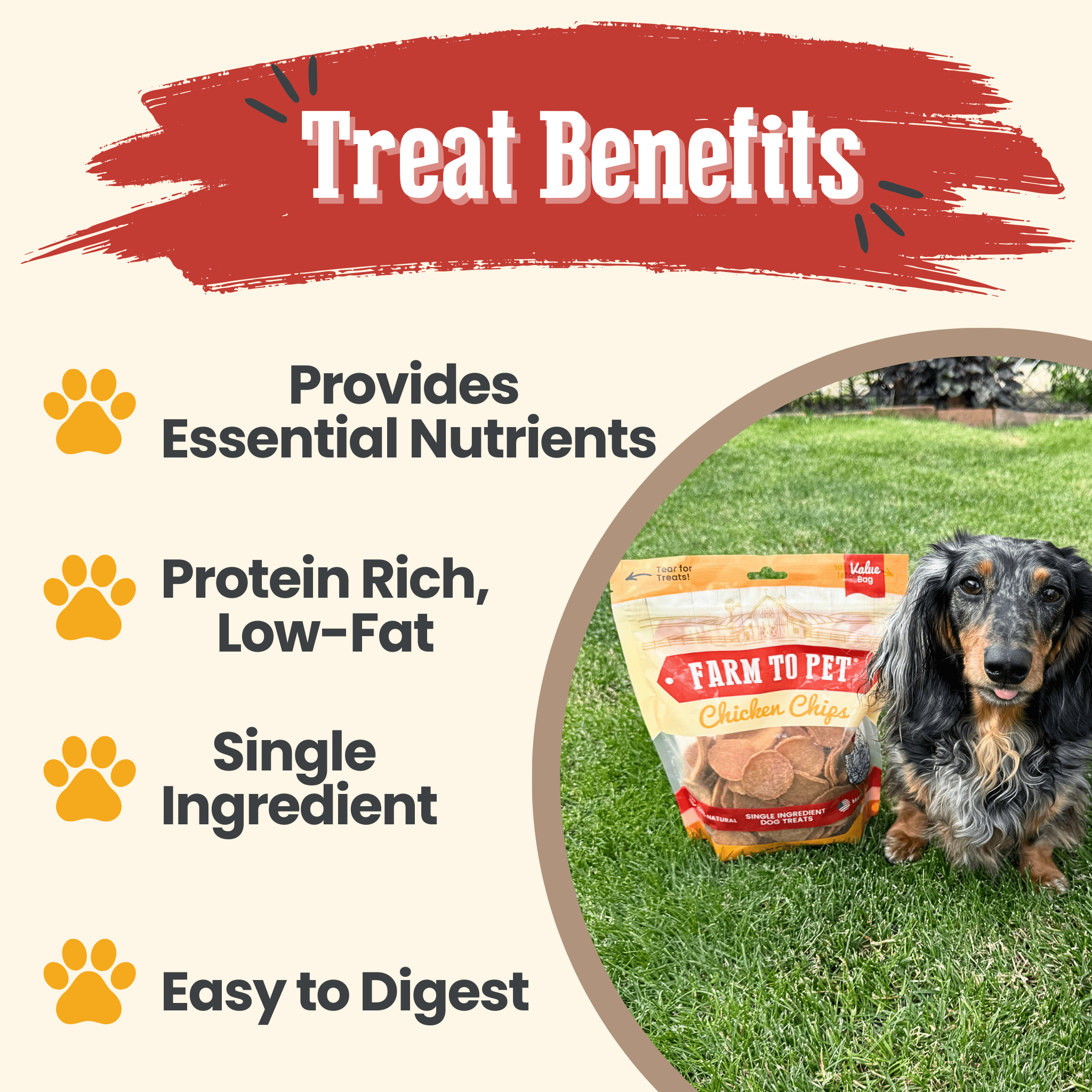 Chicken Chips for Dogs | All-Natural Single-Ingredient Dog Treats - Priscilla's Pet Paradise