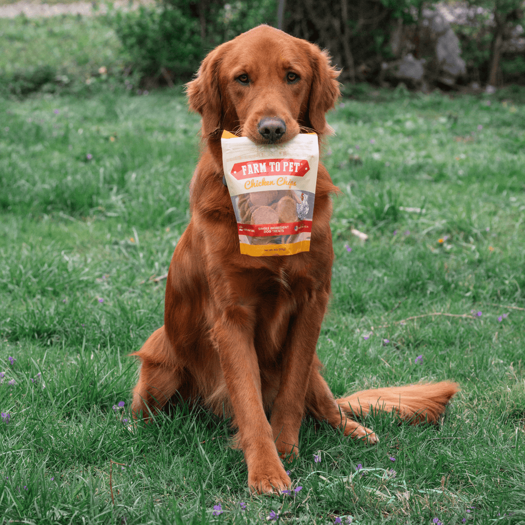 Chicken Chips for Dogs | All-Natural Single-Ingredient Dog Treats - Priscilla's Pet Paradise