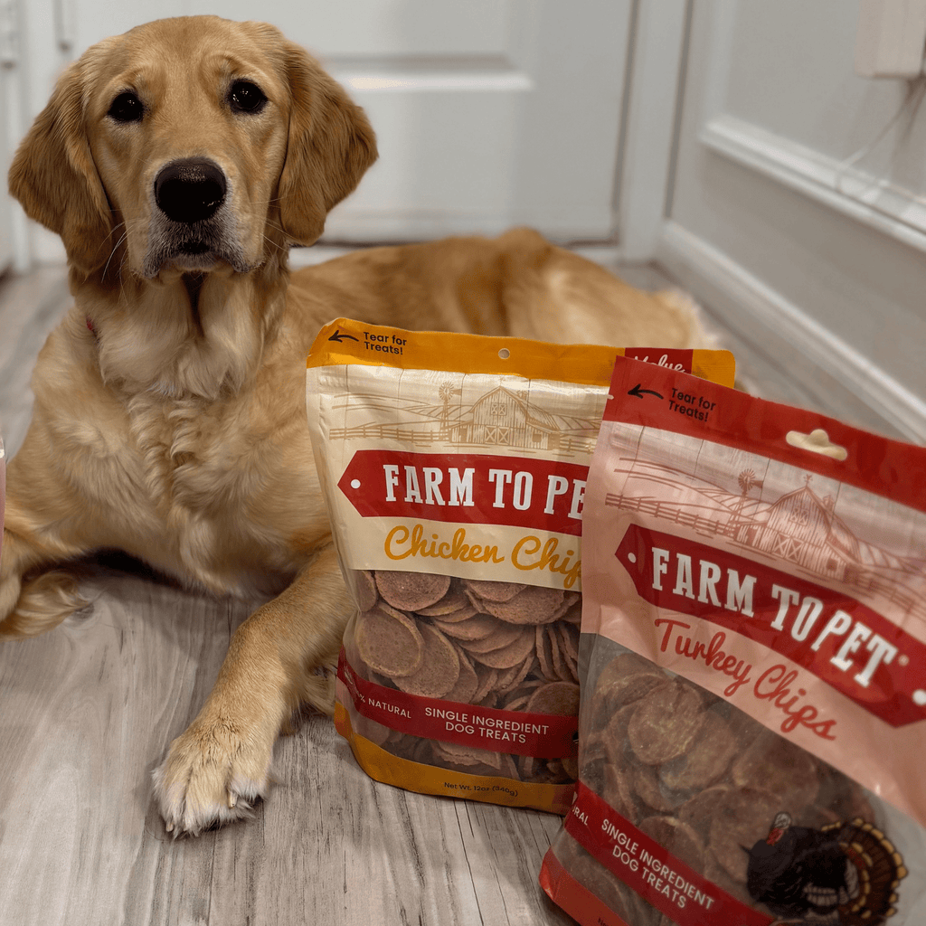 Turkey & Chicken Chip Dog Treat Duo | Single-Ingredient Poultry Treats for Dogs - Priscilla's Pet Paradise