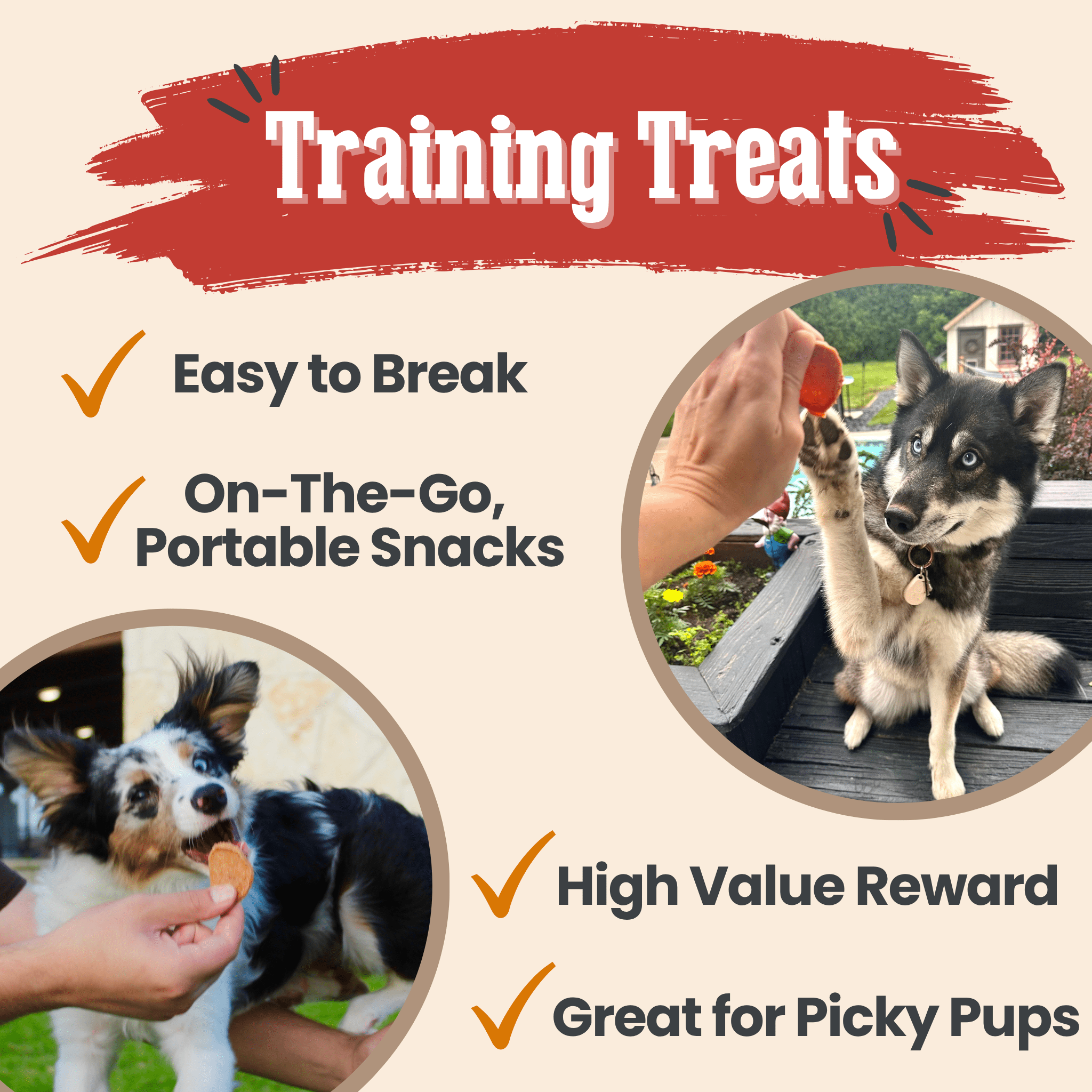 Turkey & Chicken Chip Dog Treat Duo | Single-Ingredient Poultry Treats for Dogs - Priscilla's Pet Paradise