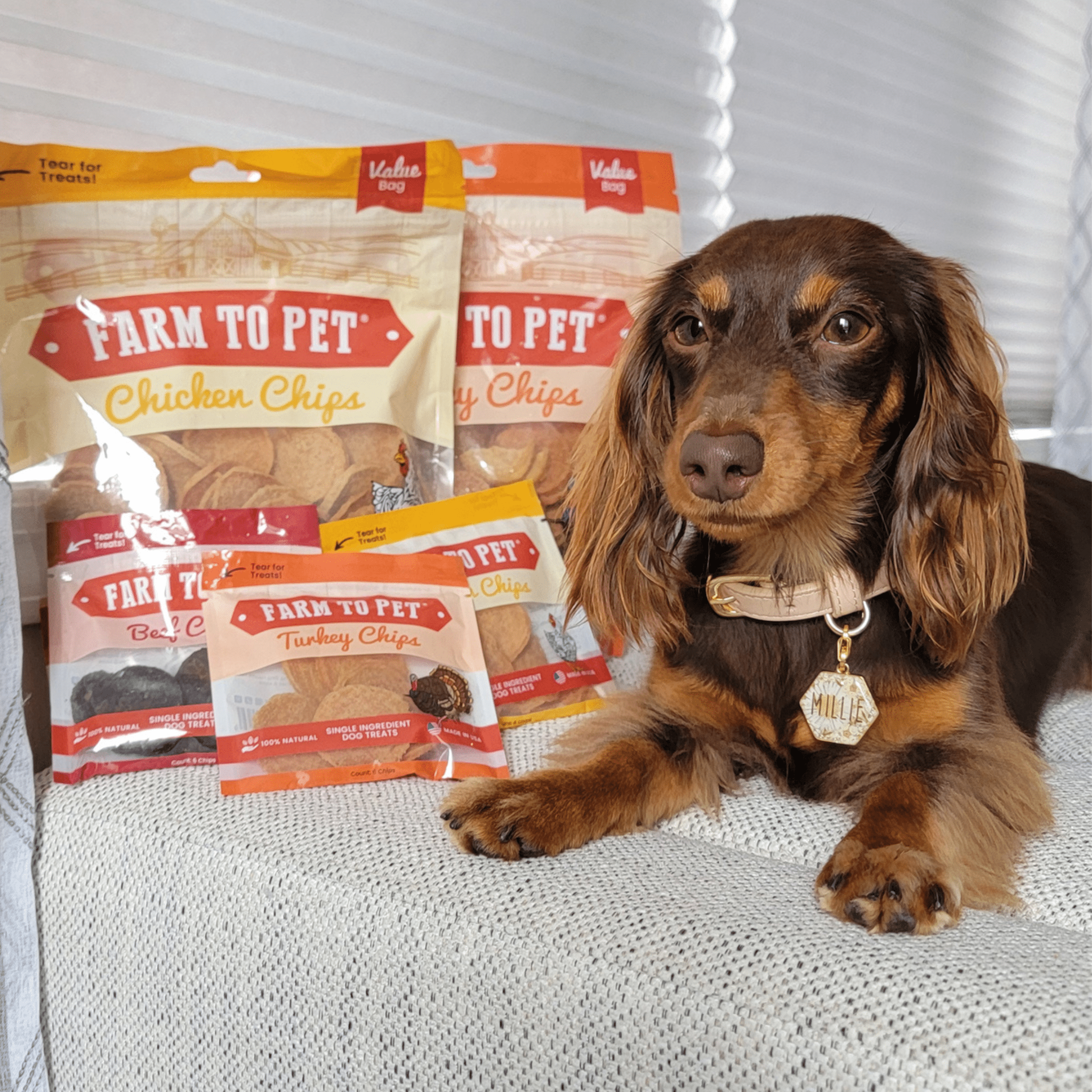 Turkey & Chicken Chip Dog Treat Duo | Single-Ingredient Poultry Treats for Dogs - Priscilla's Pet Paradise