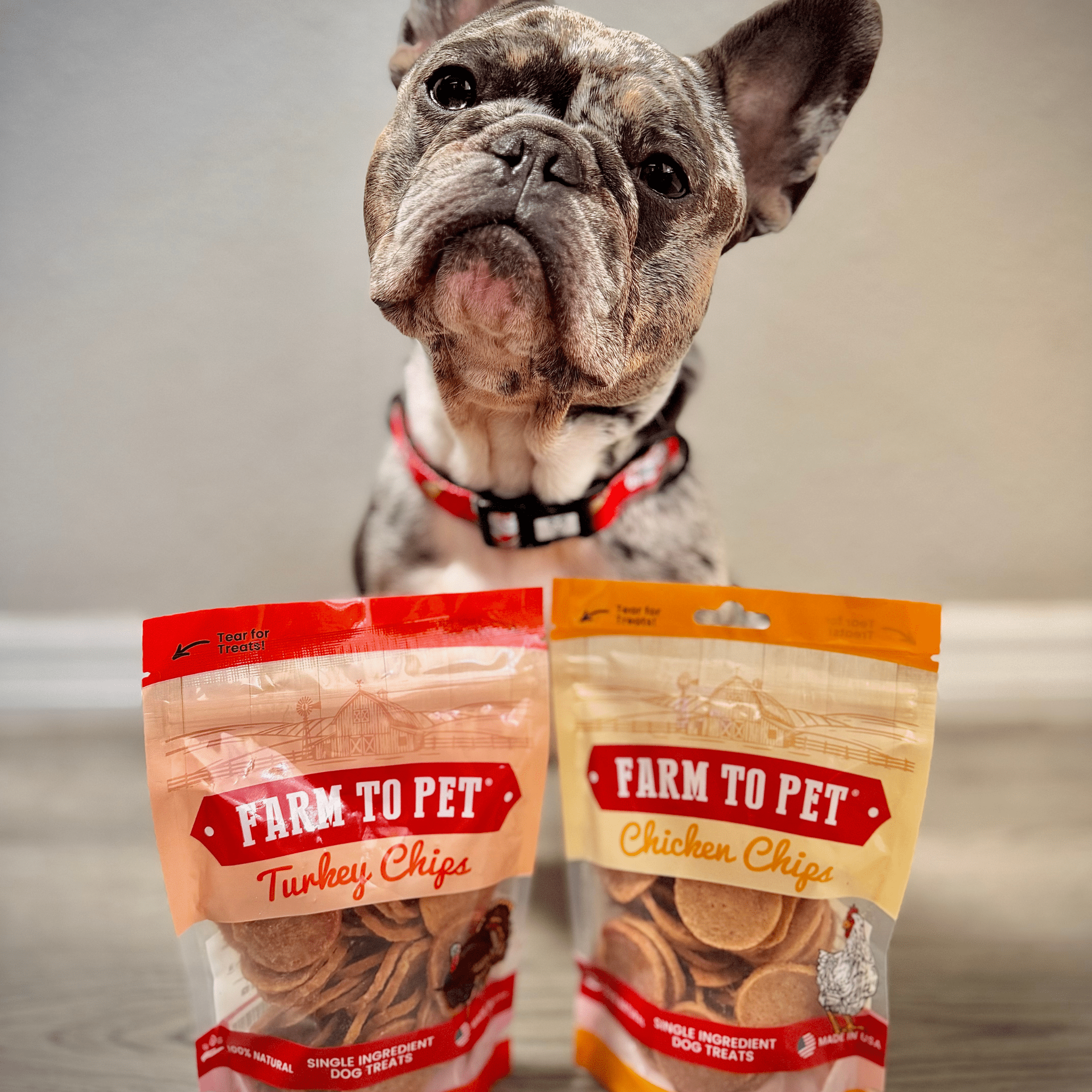 Turkey & Chicken Chip Dog Treat Duo | Single-Ingredient Poultry Treats for Dogs - Priscilla's Pet Paradise