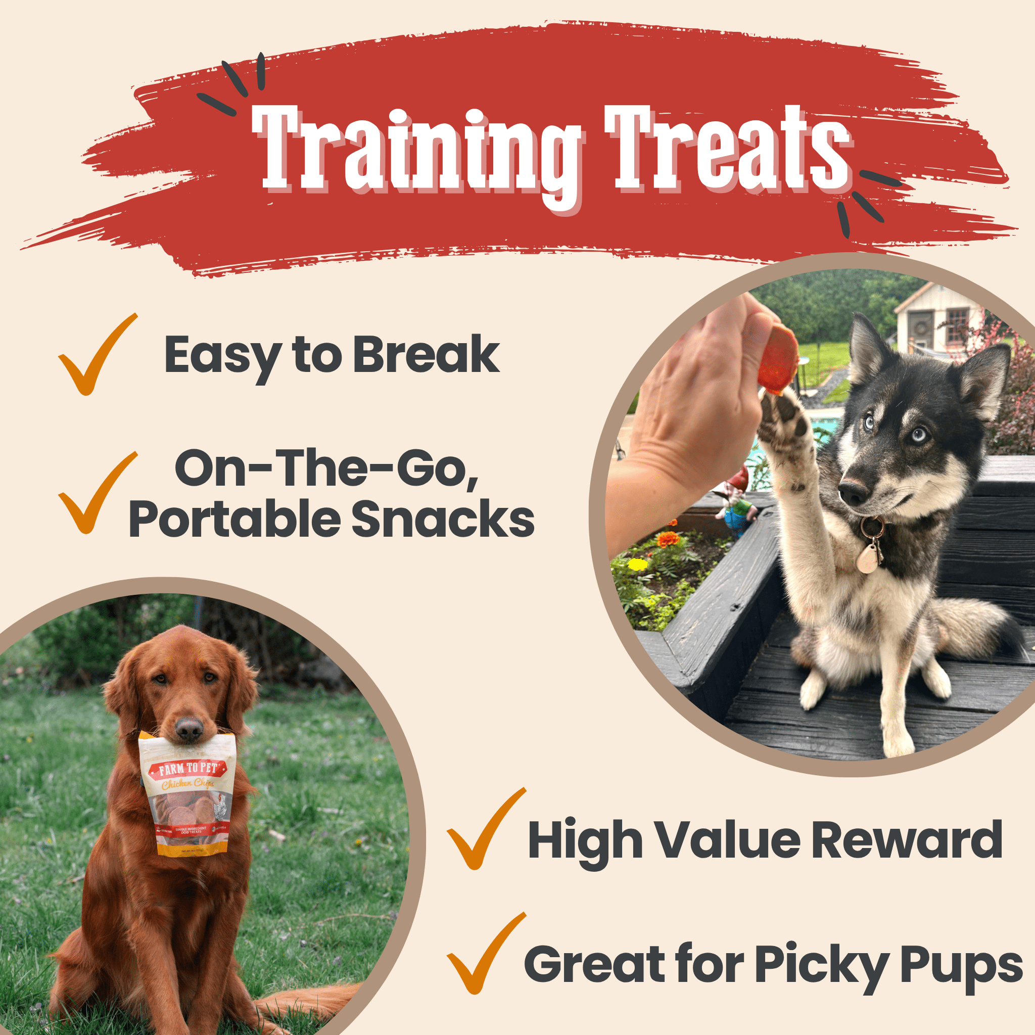 Turkey & Chicken Chip Dog Treat Duo | Single-Ingredient Poultry Treats for Dogs - Priscilla's Pet Paradise