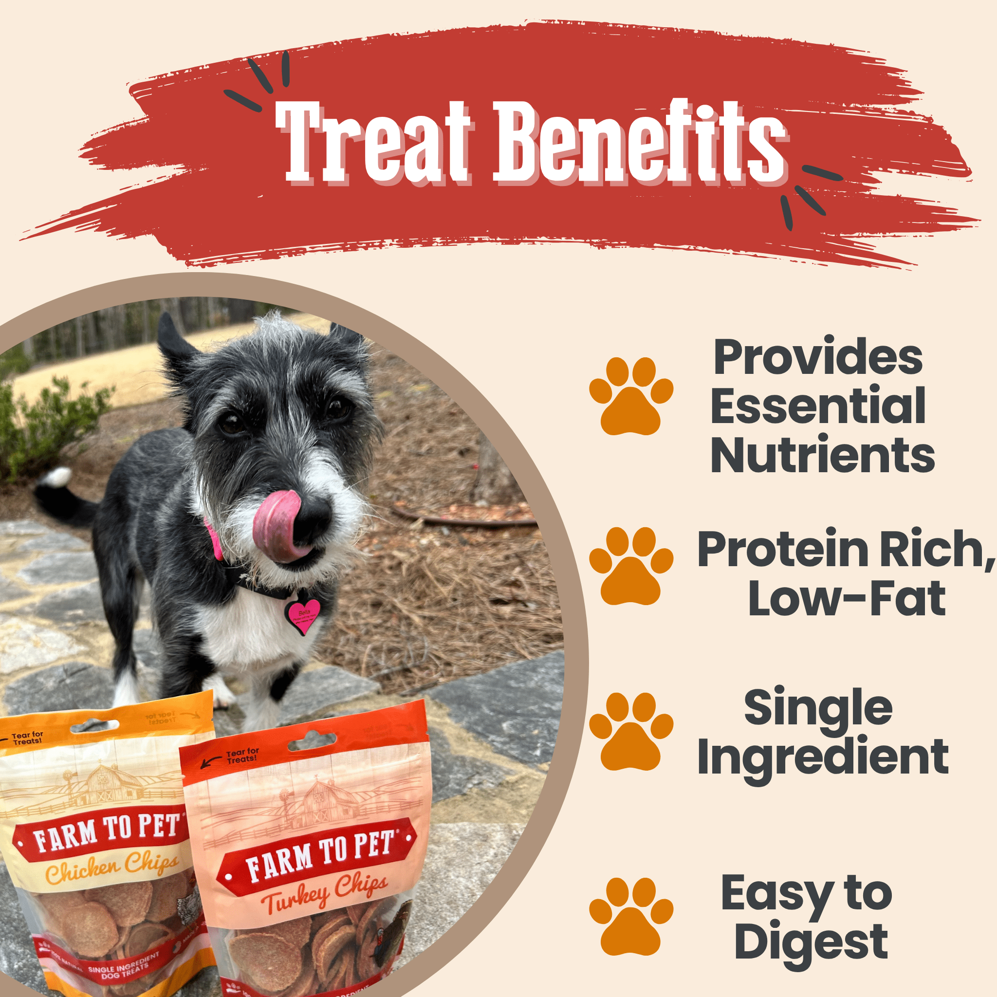 Turkey & Chicken Chip Dog Treat Duo | Single-Ingredient Poultry Treats for Dogs - Priscilla's Pet Paradise