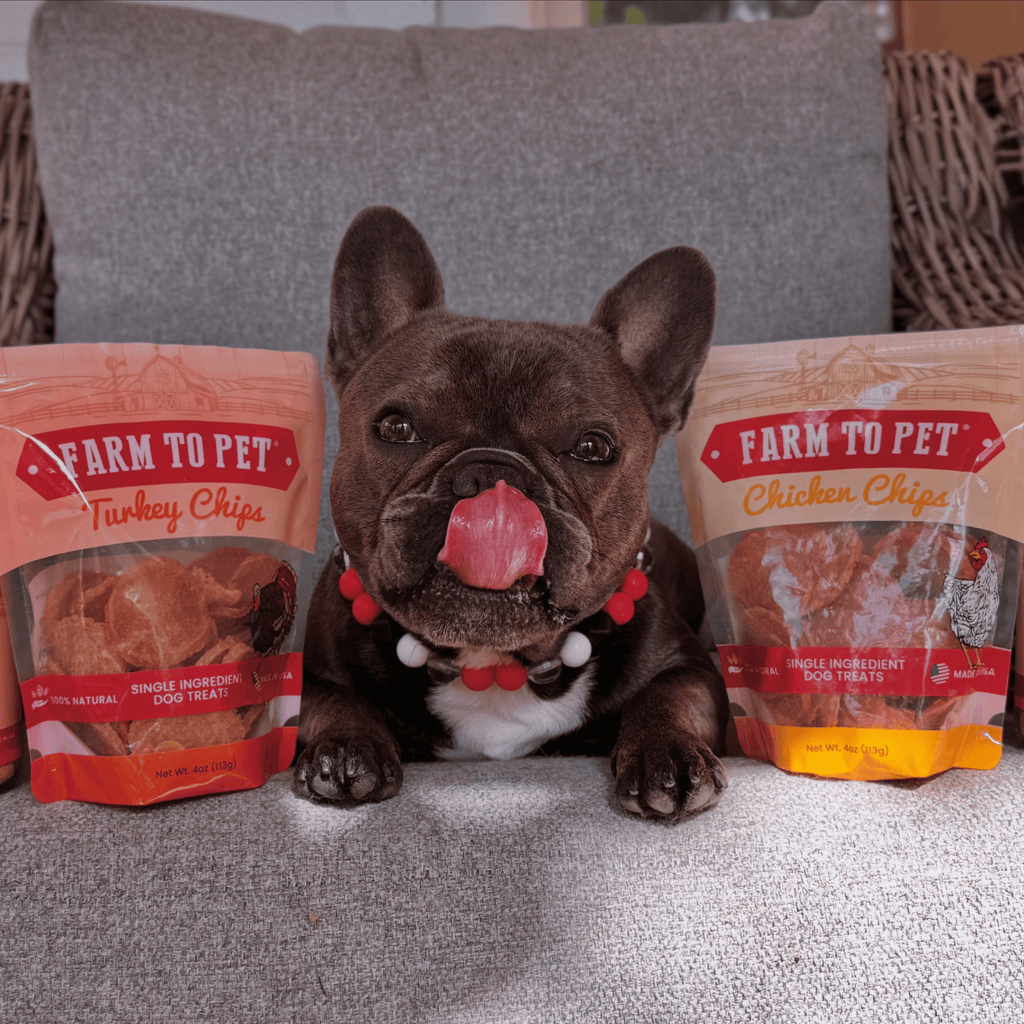 Turkey & Chicken Chip Dog Treat Duo | Single-Ingredient Poultry Treats for Dogs - Priscilla's Pet Paradise