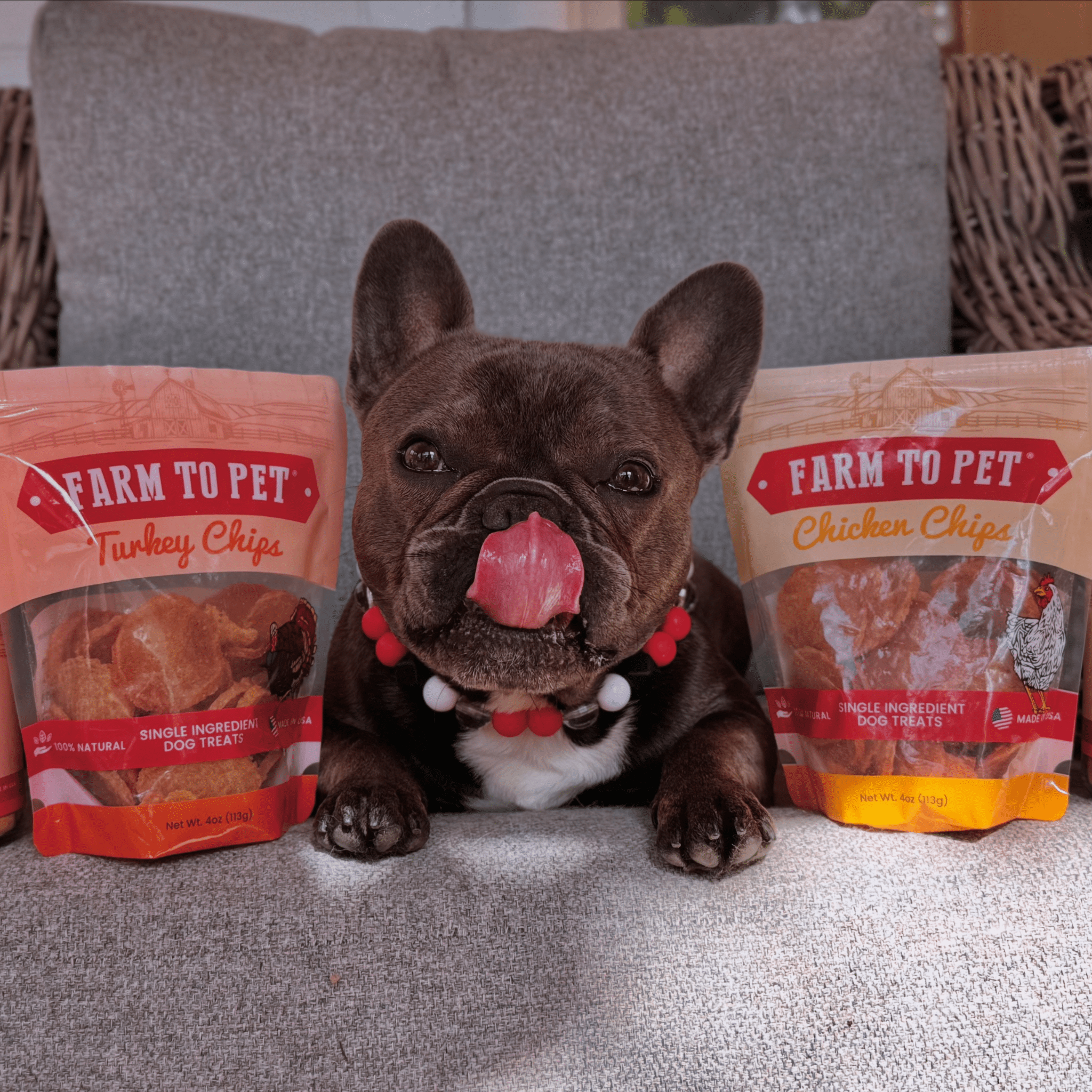 Turkey & Chicken Chip Dog Treat Duo | Single-Ingredient Poultry Treats for Dogs - Priscilla's Pet Paradise