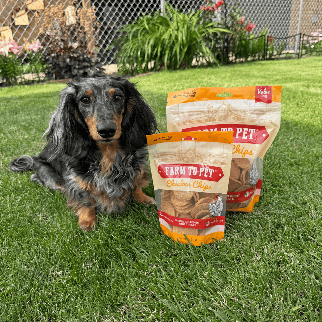 Chicken Chips for Dogs | All-Natural Single-Ingredient Dog Treats - Priscilla's Pet Paradise