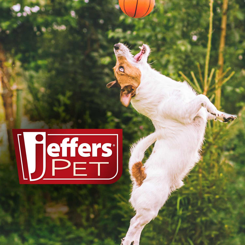 Jeffers Pet Tea Tree (Melaleuca) Medicated Dog Shampoo for Dry Skin - Priscilla's Pet Paradise