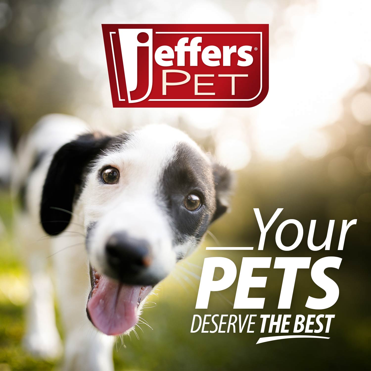 Jeffers Pet Apple Oatmeal All-Natural Hypoallergenic Dry Skin Shampoo for Dogs and Cats - Priscilla's Pet Paradise