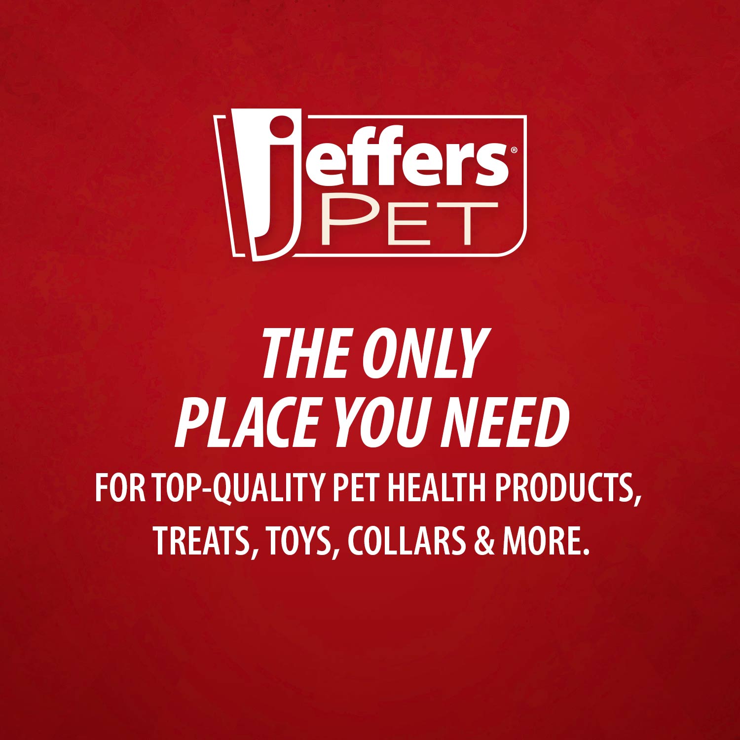 Jeffers Pet Captivating Citrus All-Natural Flea Bite Relief Shampoo for Dogs and Cats - Priscilla's Pet Paradise