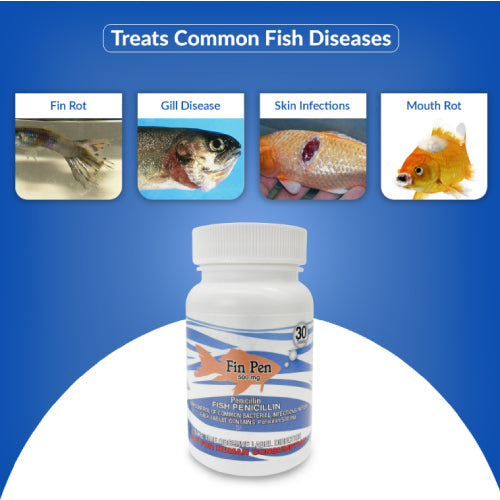 Fish Pen 500mg Capsules for Aquarium Fish – 30 Count – Water Care Support - Priscilla's Pet Paradise