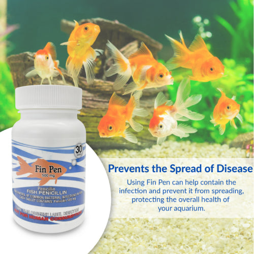Fish Pen 500mg Capsules for Aquarium Fish – 30 Count – Water Care Support - Priscilla's Pet Paradise