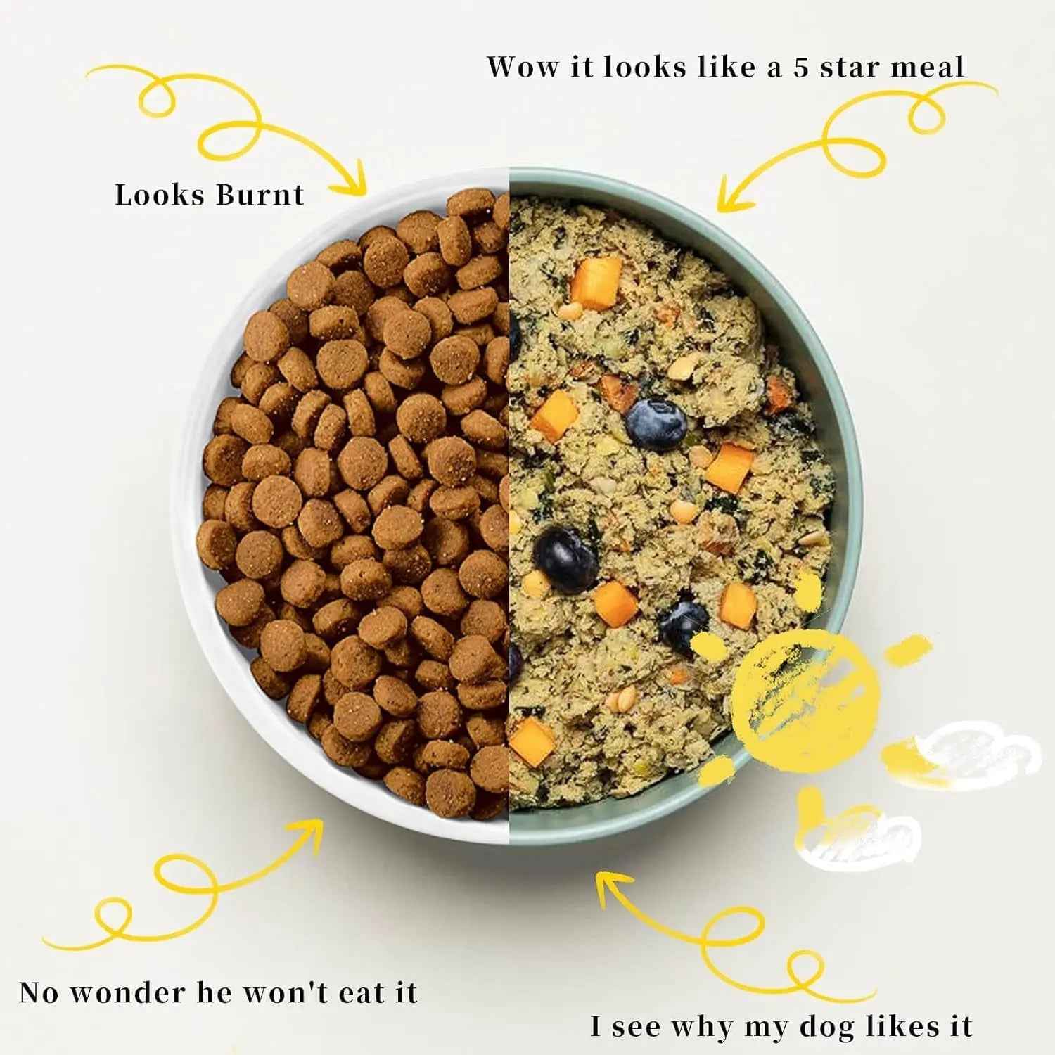 Pet Fresh Food Maker 5 in 1 Dog Cat Food Cooker Chopper 2.5L Smart Maker for Healthy Meals