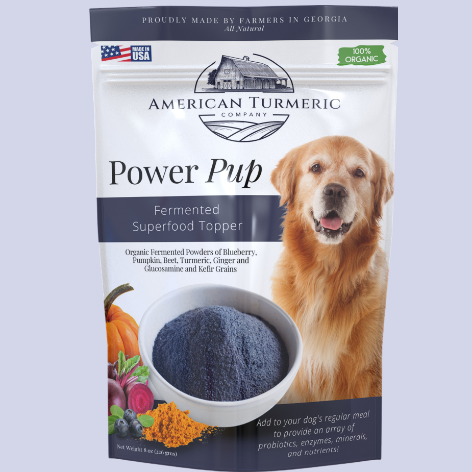 Power Pup Turmeric Powder for Pets - Fermented Superfood Health Booster