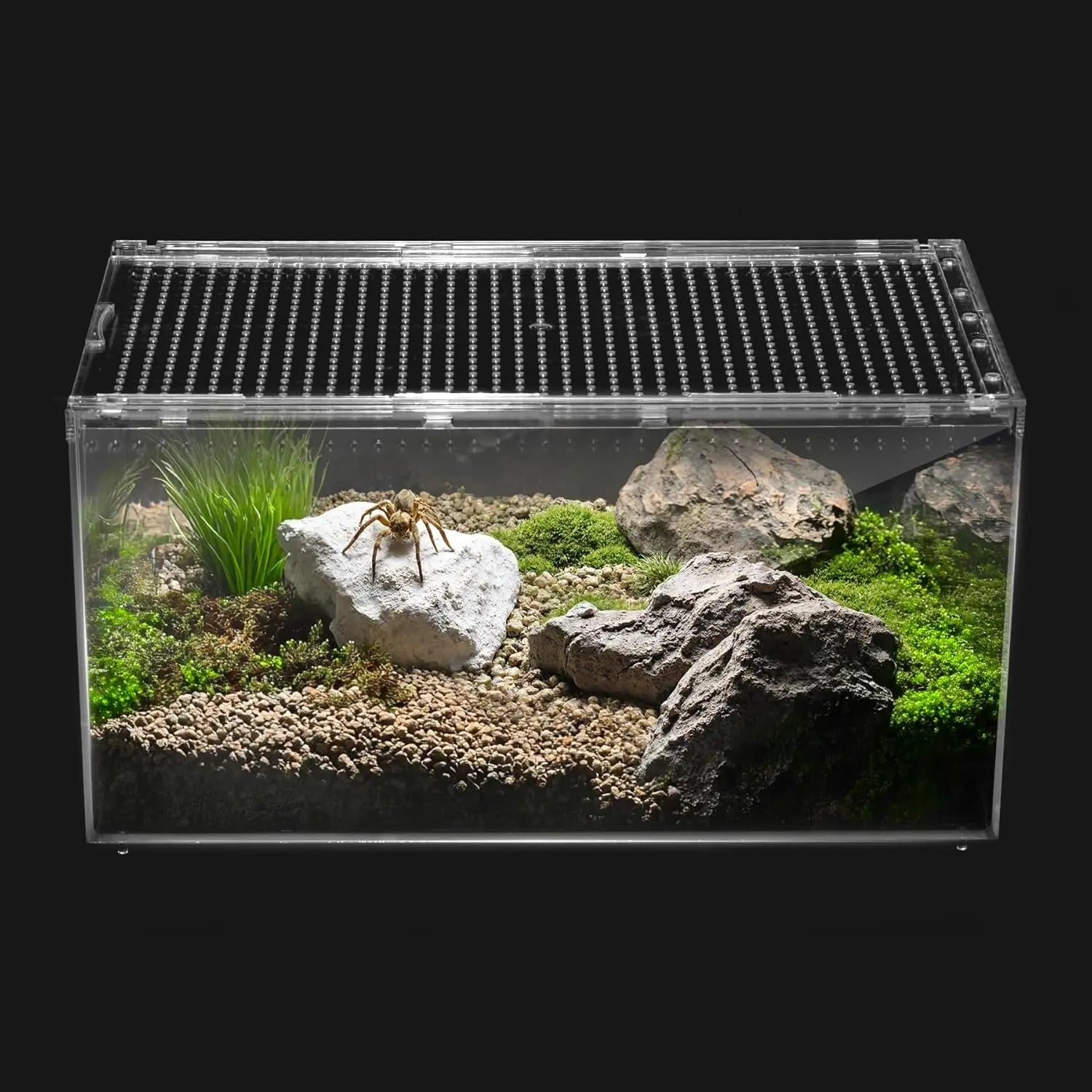 Reptile Terrarium Kit Starter Enclosure for Spiders, Geckos & Insects