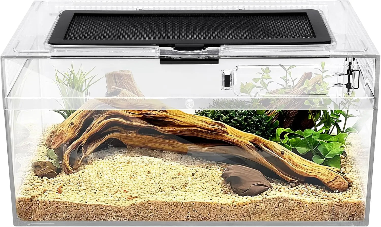 Reptile Terrarium Kit Starter Enclosure for Spiders, Geckos & Insects