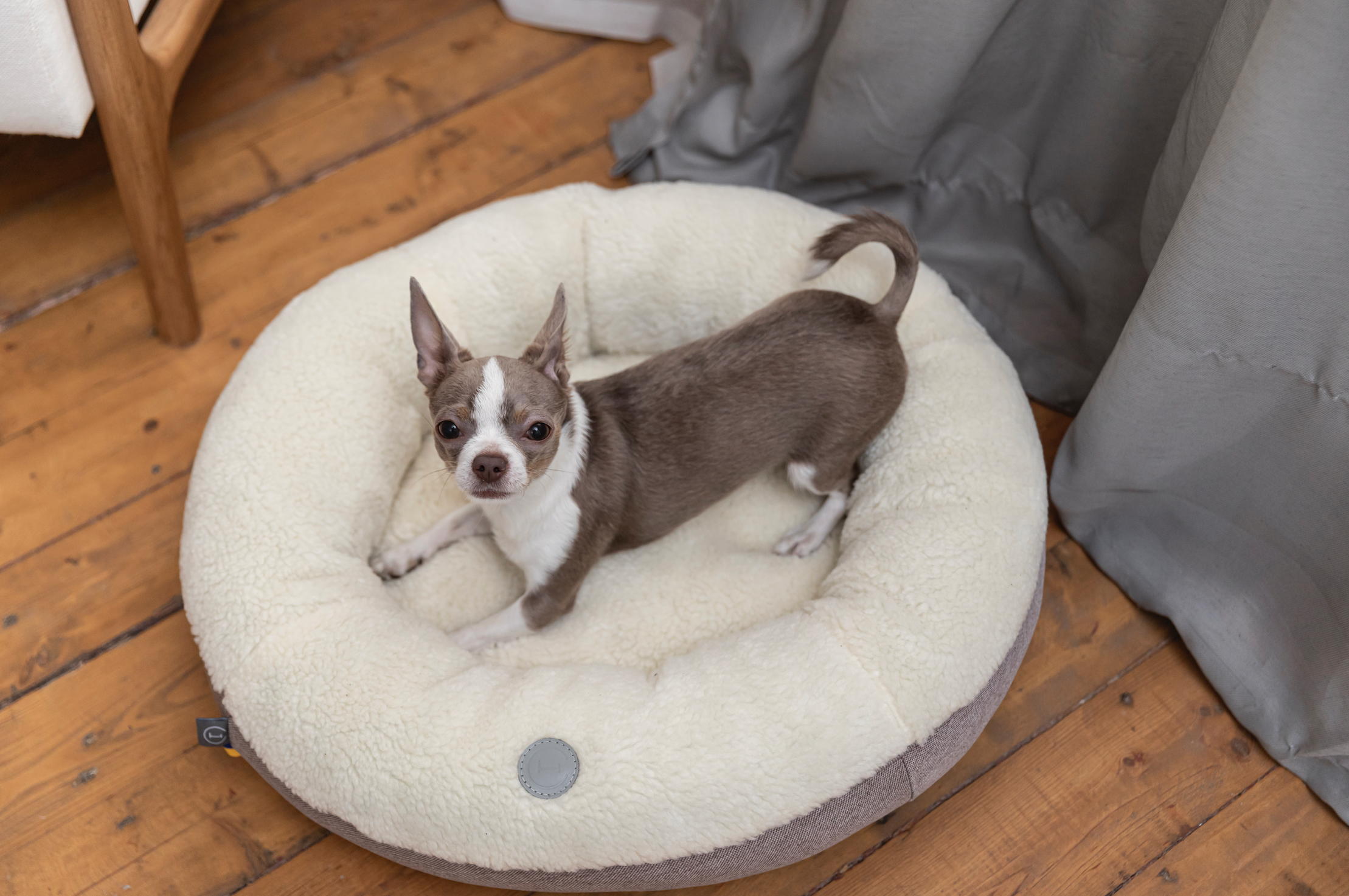 Chester & Lee | Furry Beige Donut Dog Bed - Priscilla's Pet Paradise