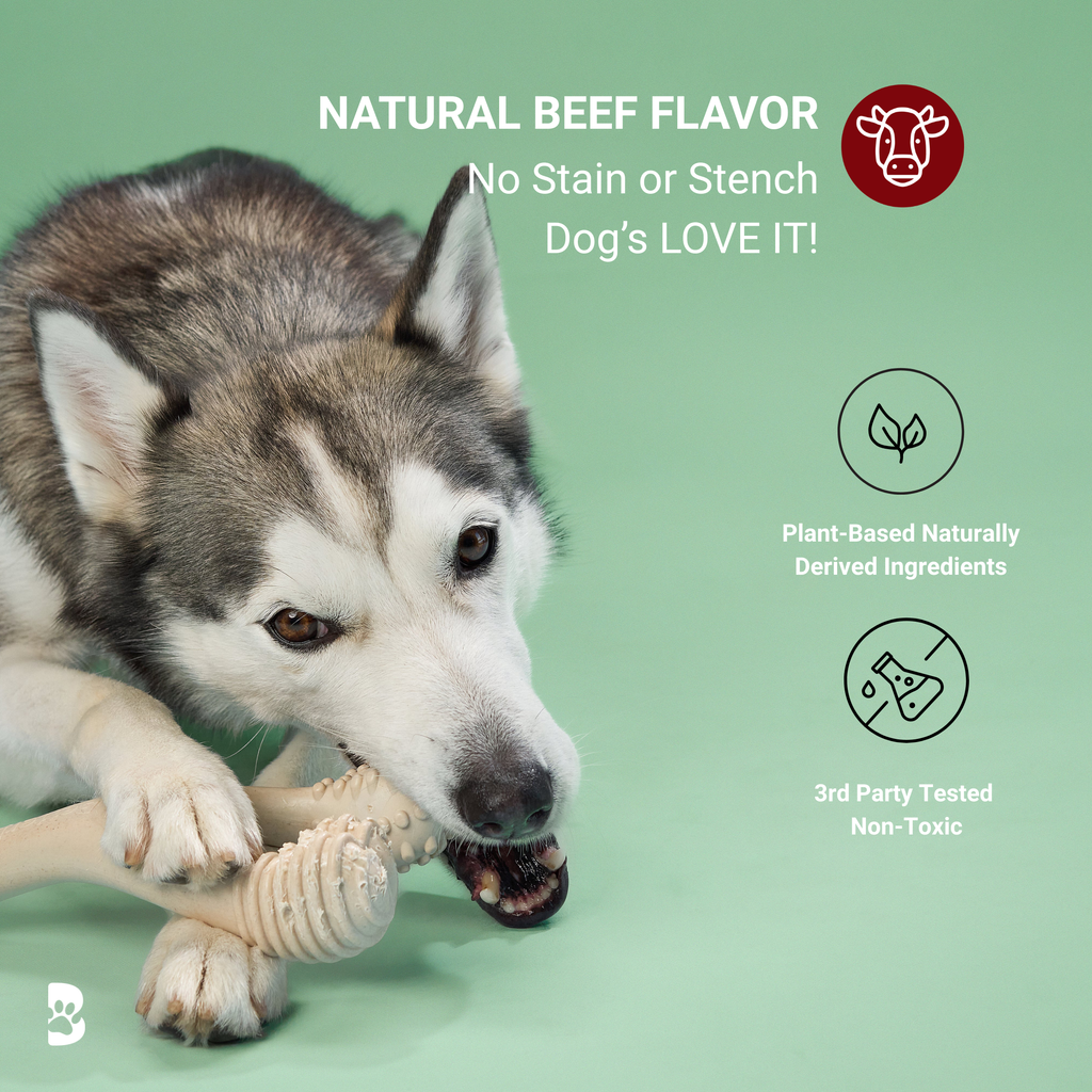 BetterBone MODERATE Chew Toy - Priscilla's Pet Paradise