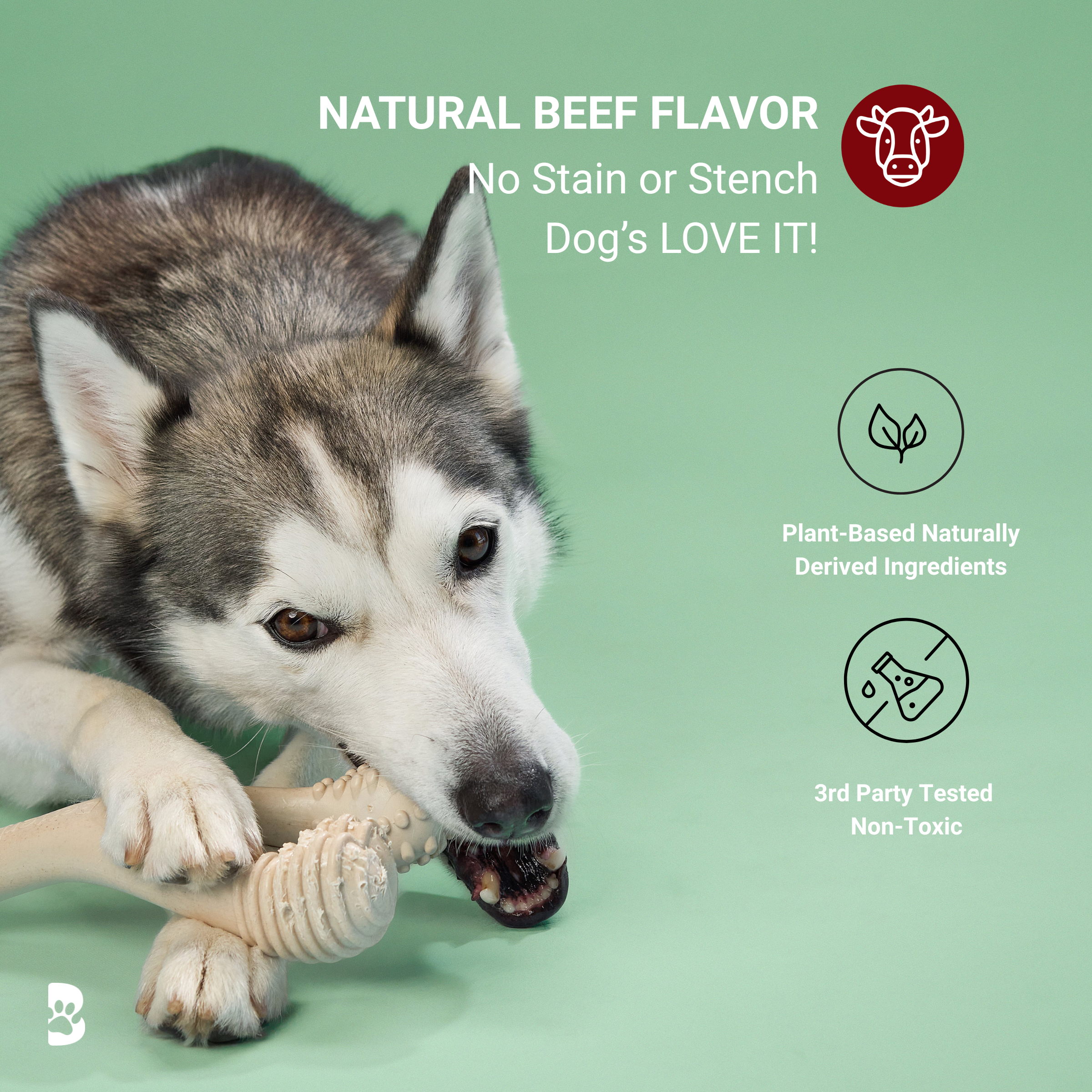 BetterBone MODERATE Chew Toy - Priscilla's Pet Paradise