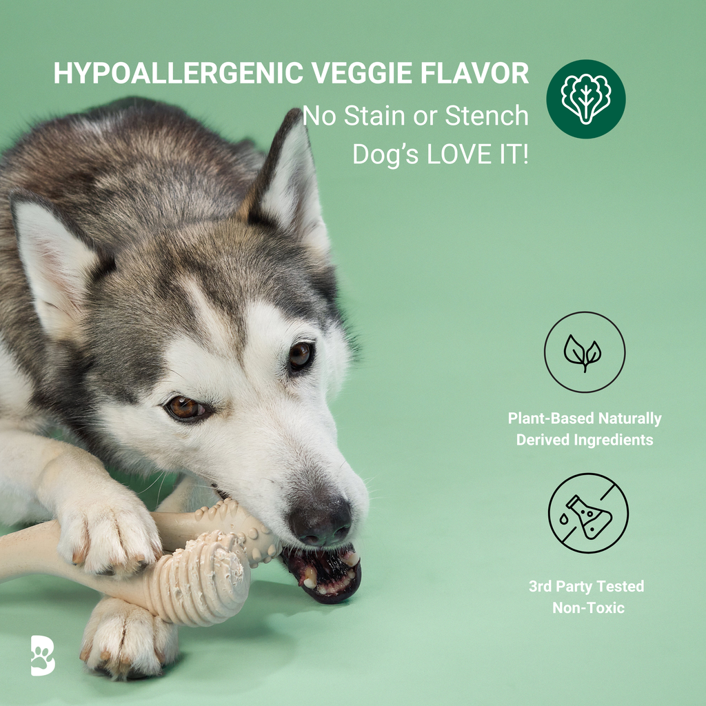 BetterBone MODERATE Chew Toy - Priscilla's Pet Paradise