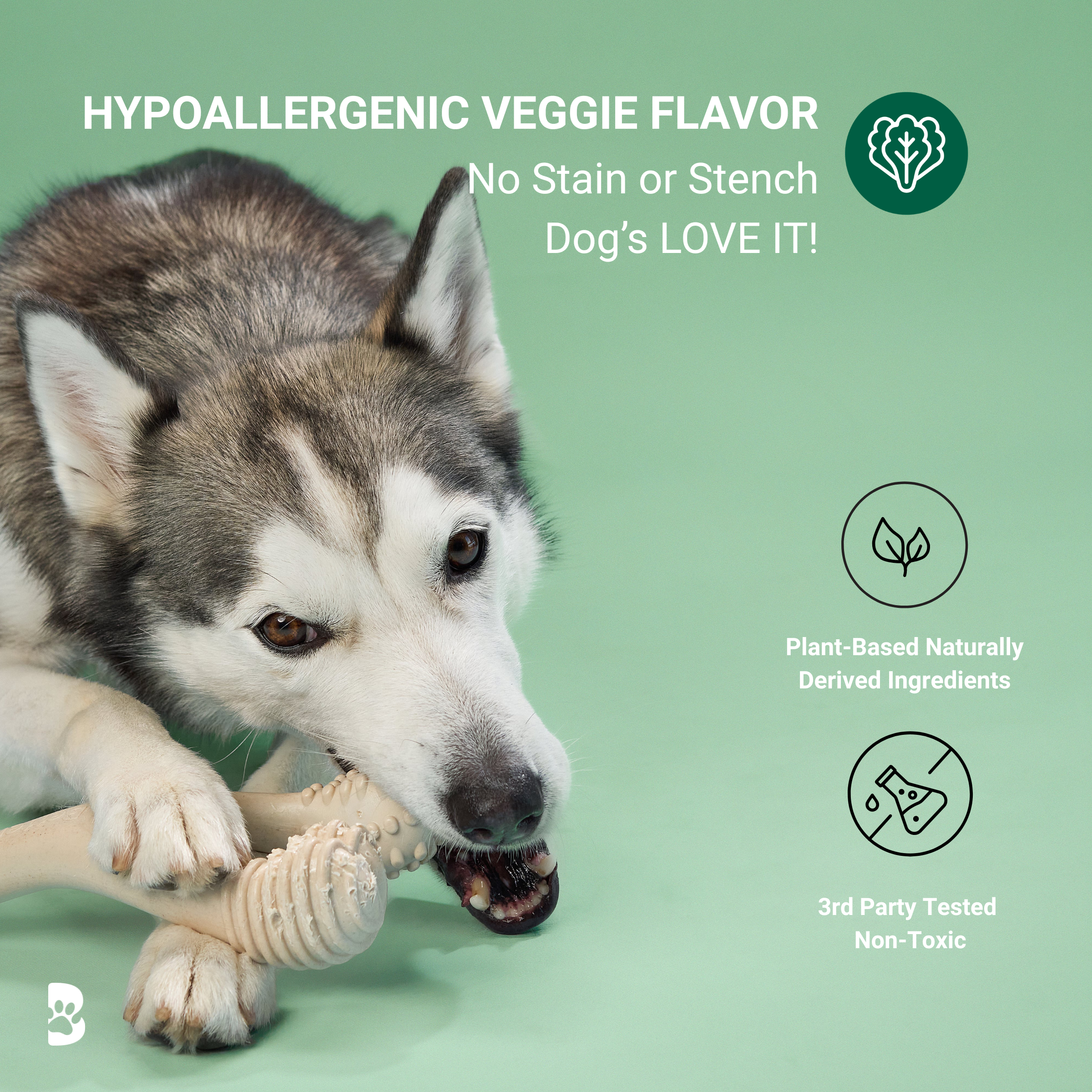 BetterBone MODERATE Chew Toy - Priscilla's Pet Paradise