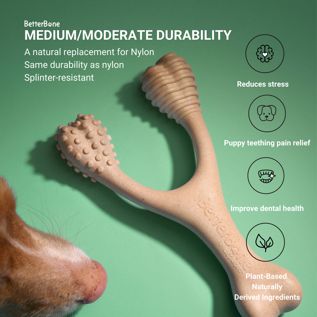 BetterBone MODERATE Chew Toy - Priscilla's Pet Paradise