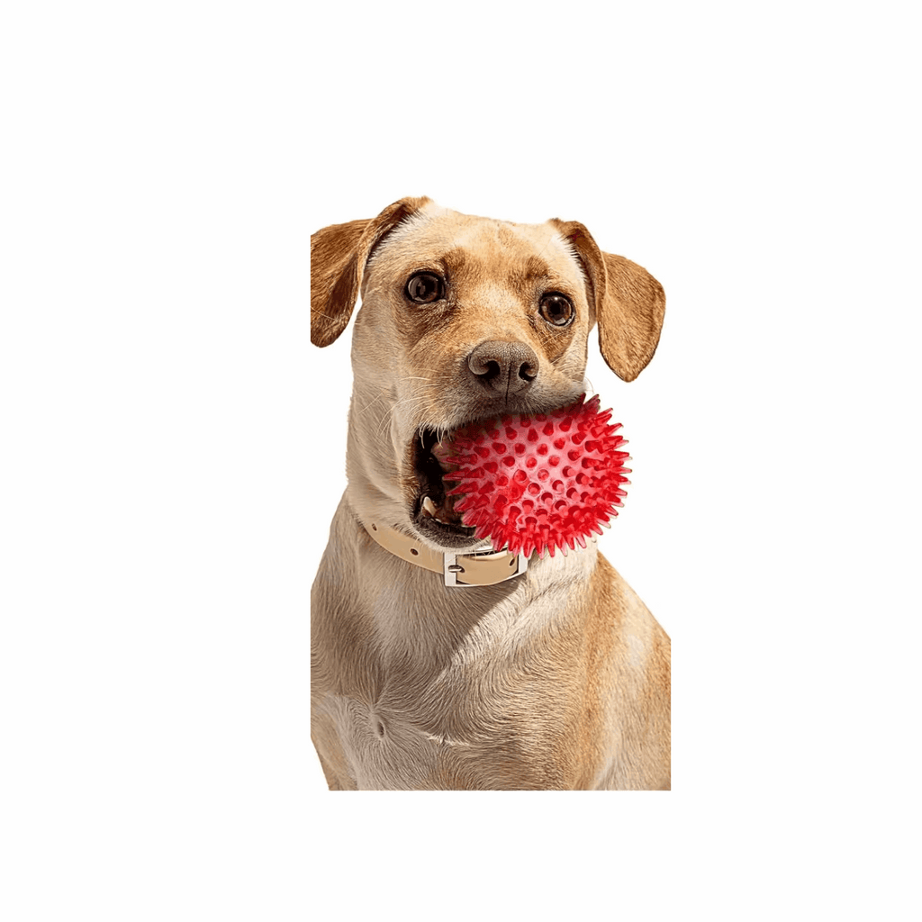 2.5” Squeaky Dog Balls for Small Dogs - Interactive Teething Chew Toys for Clean Teeth and Training