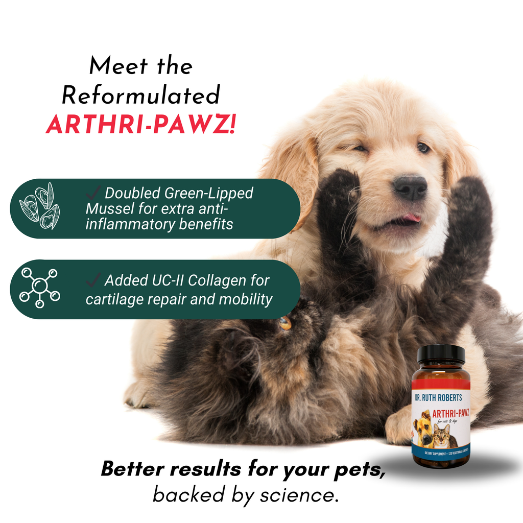 Arthri-Pawz – with Glucosamine for Cats and Dogs - Priscilla's Pet Paradise