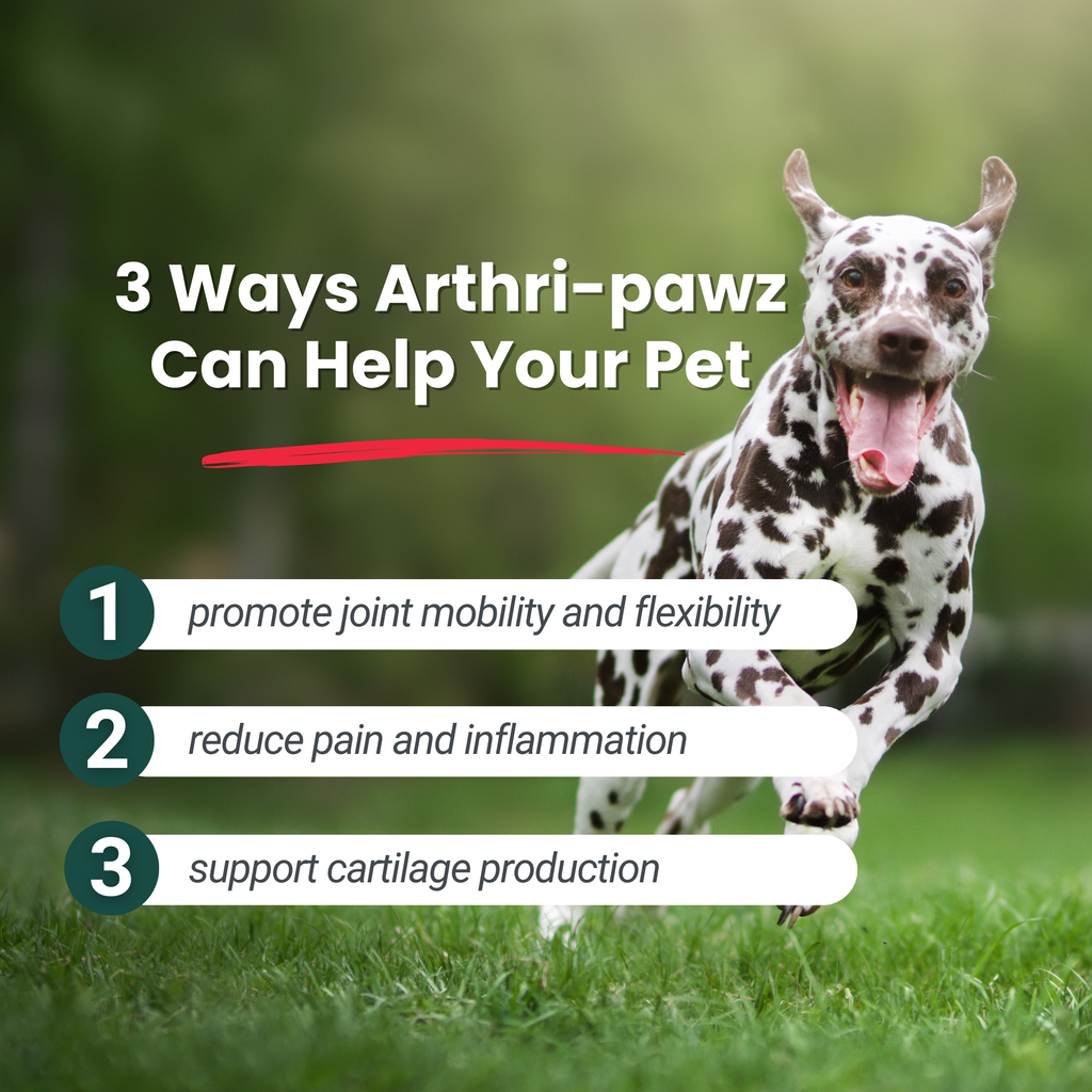 Arthri-Pawz – with Glucosamine for Cats and Dogs - Priscilla's Pet Paradise