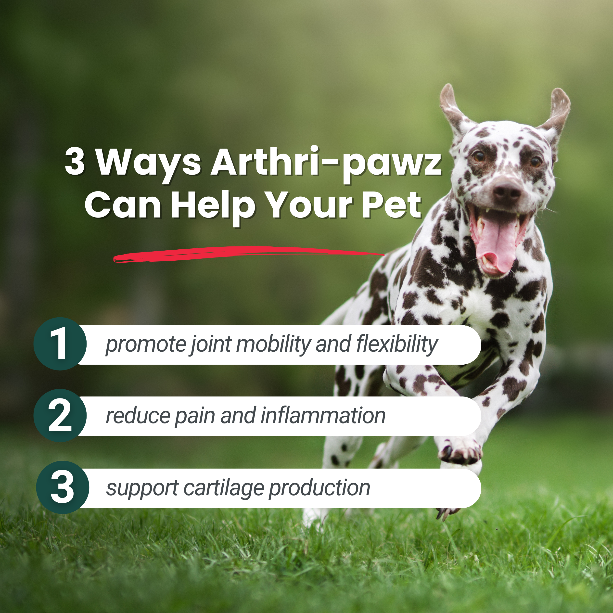 Arthri-Pawz – with Glucosamine for Cats and Dogs - Priscilla's Pet Paradise