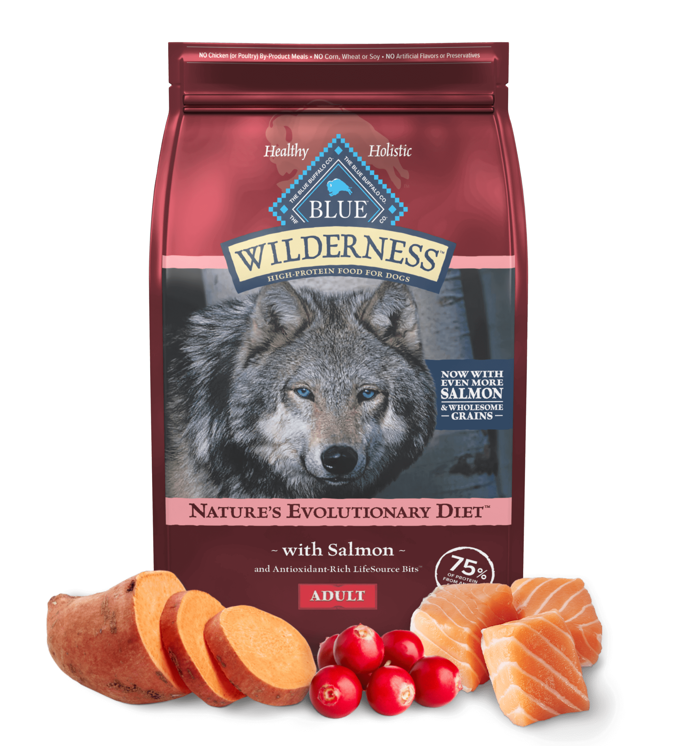 Blue Buffalo Wilderness Adult Salmon with Wholesome Grains Dry Dog Food - Priscilla's Pet Paradise