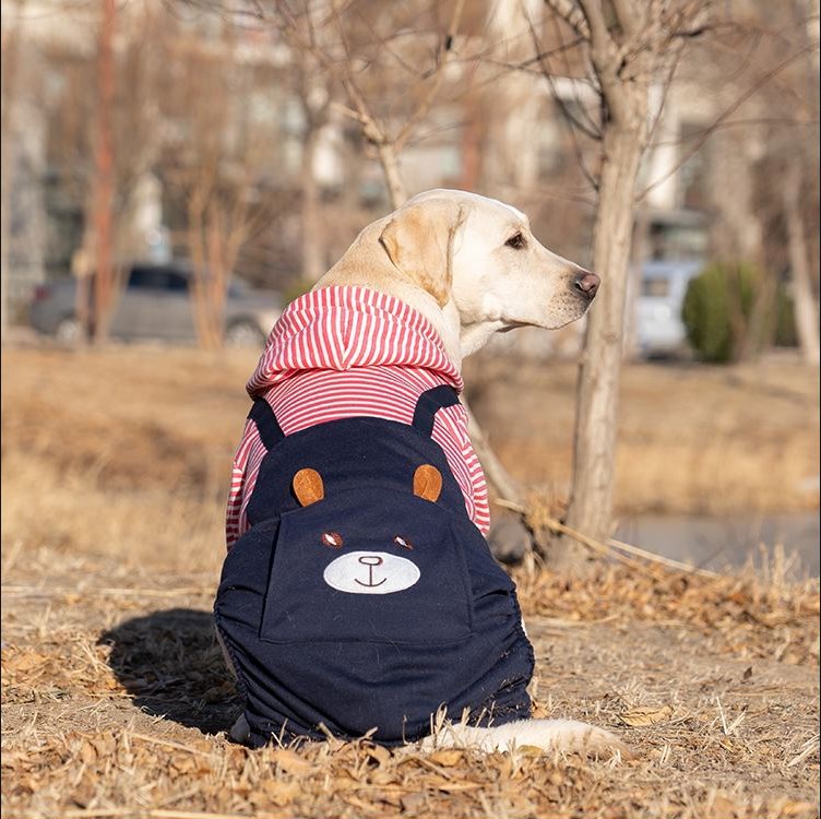 Big Clothes Year Medium-sized Large Dog - Priscilla's Pet Paradise