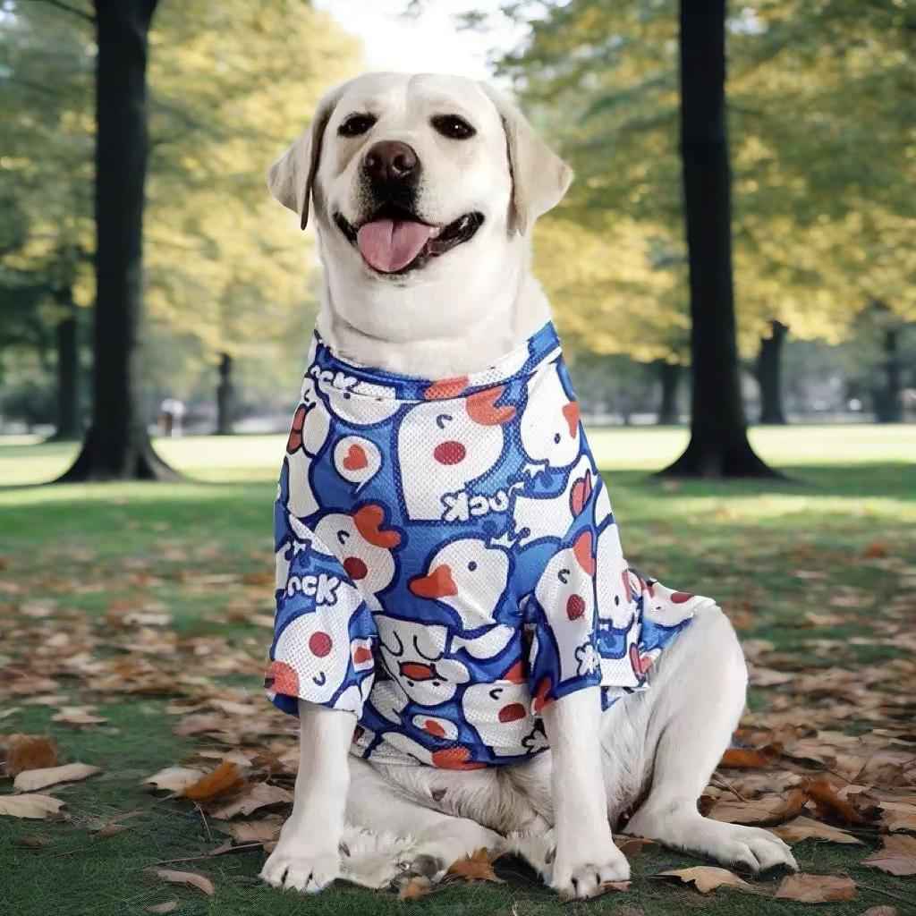 Big Dog Clothes Spring Summer Collection for Your Pet