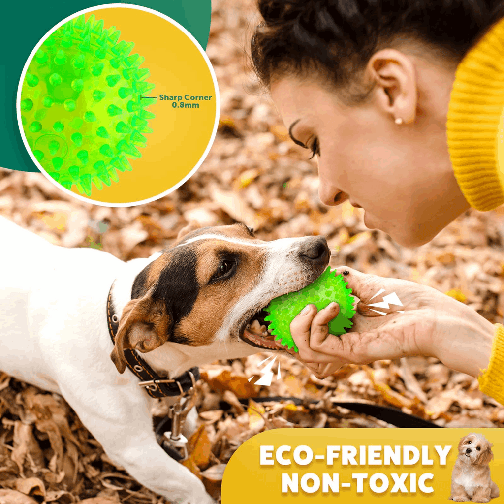 2.5” Squeaky Dog Balls for Small Dogs - Interactive Teething Chew Toys for Clean Teeth and Training