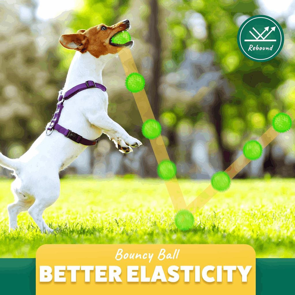 2.5” Squeaky Dog Balls for Small Dogs - Interactive Teething Chew Toys for Clean Teeth and Training