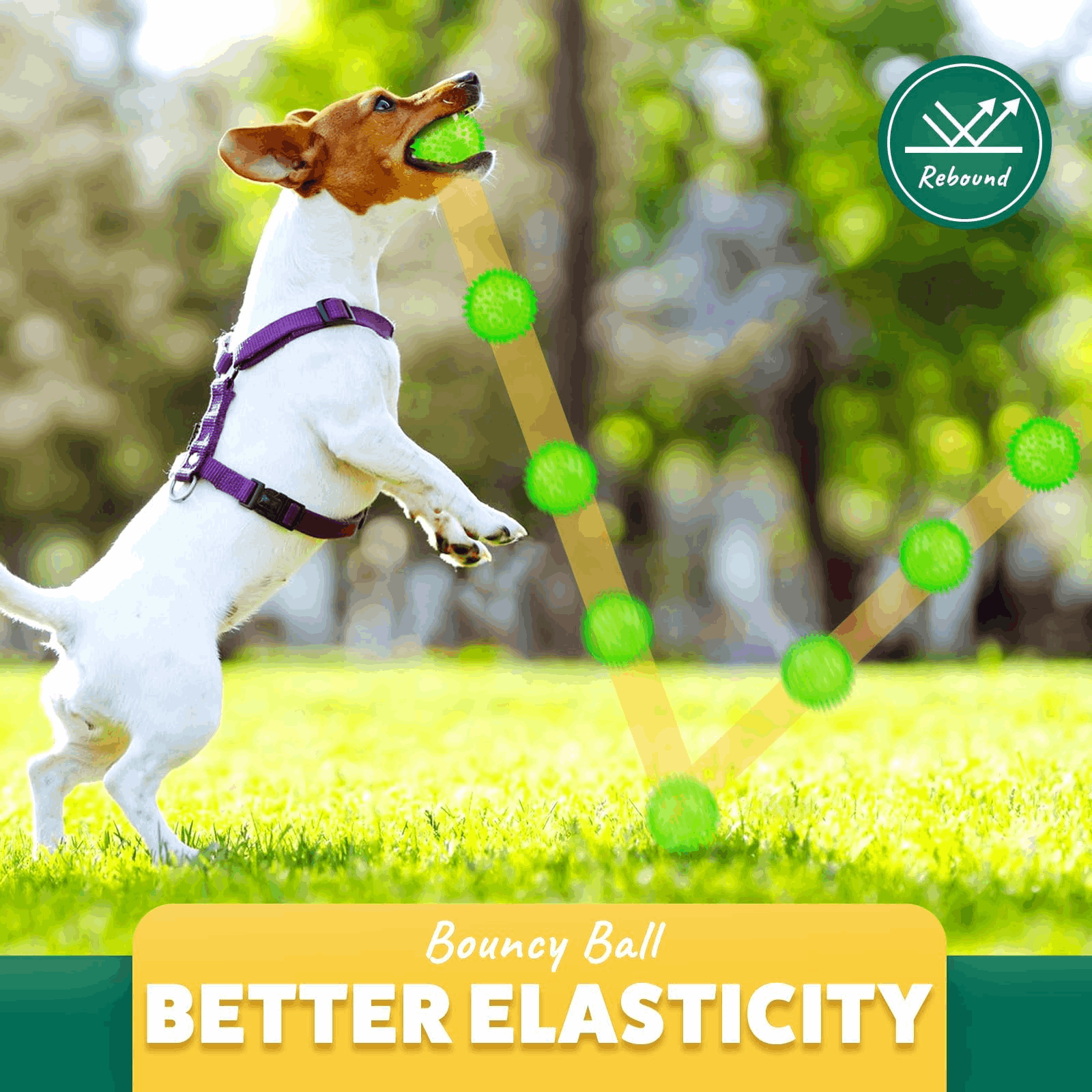 2.5” Squeaky Dog Balls for Small Dogs - Interactive Teething Chew Toys for Clean Teeth and Training